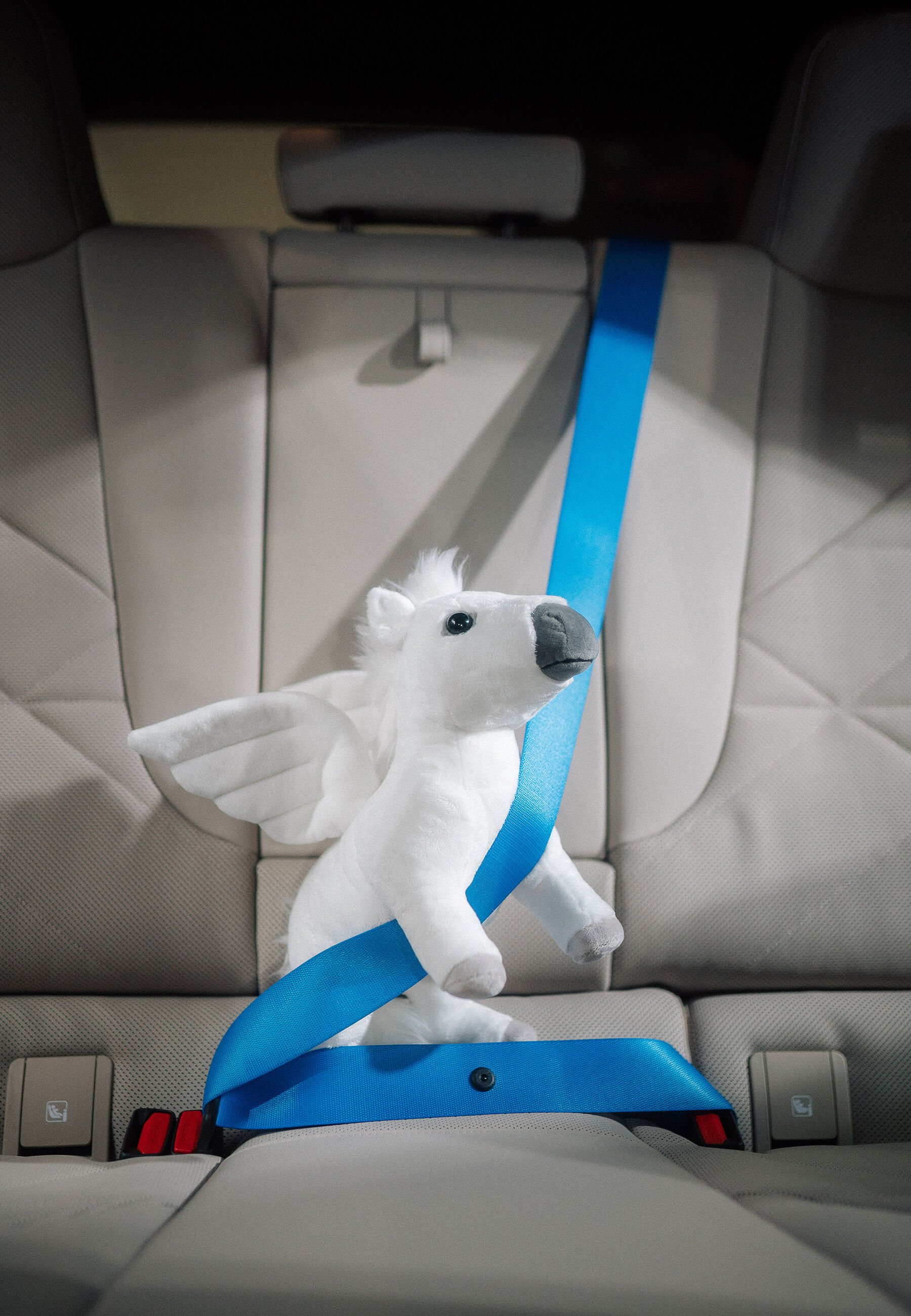 BMW Pegasus 2.jpeg