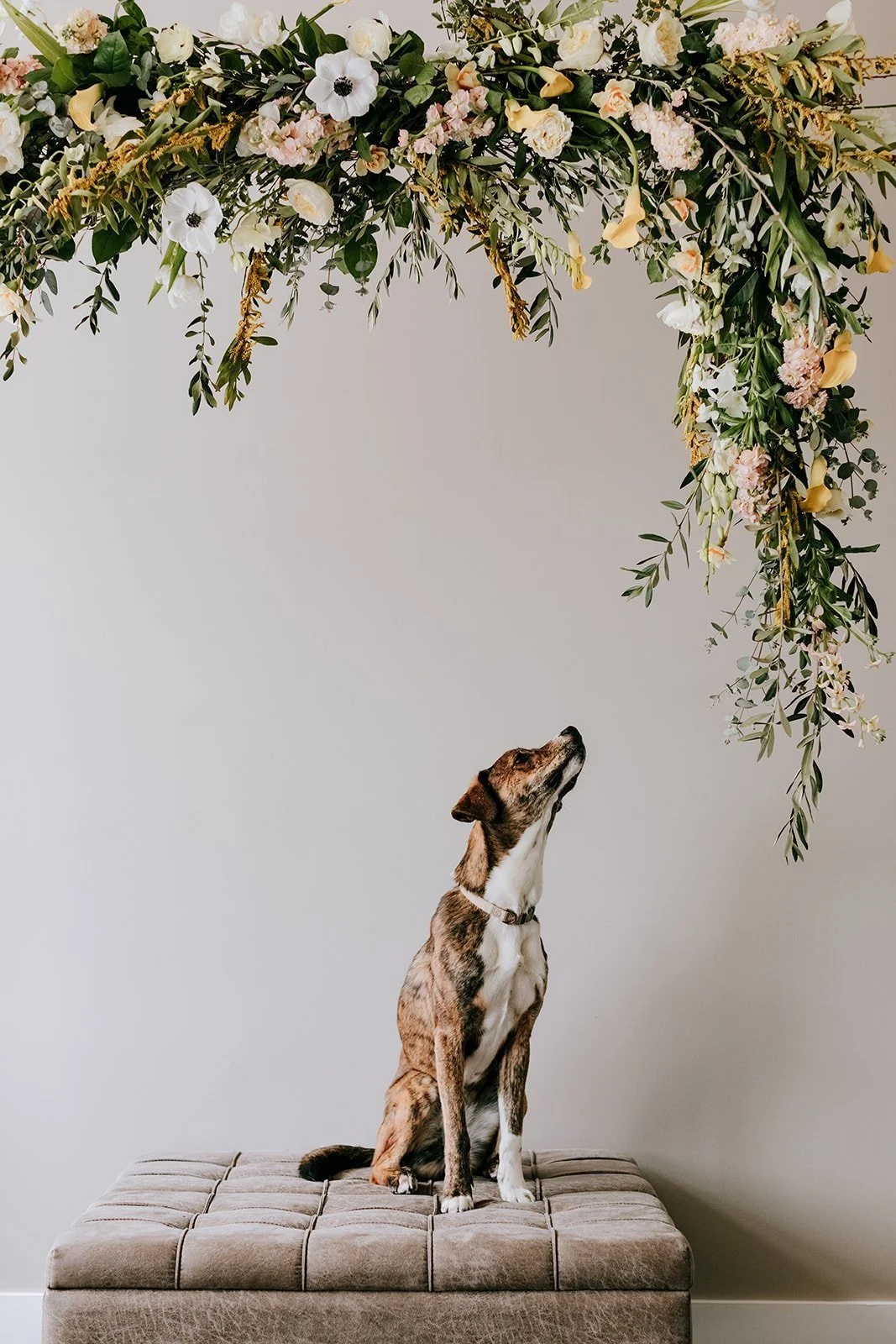 Blushing Design Kalamazoo Wedding Florist