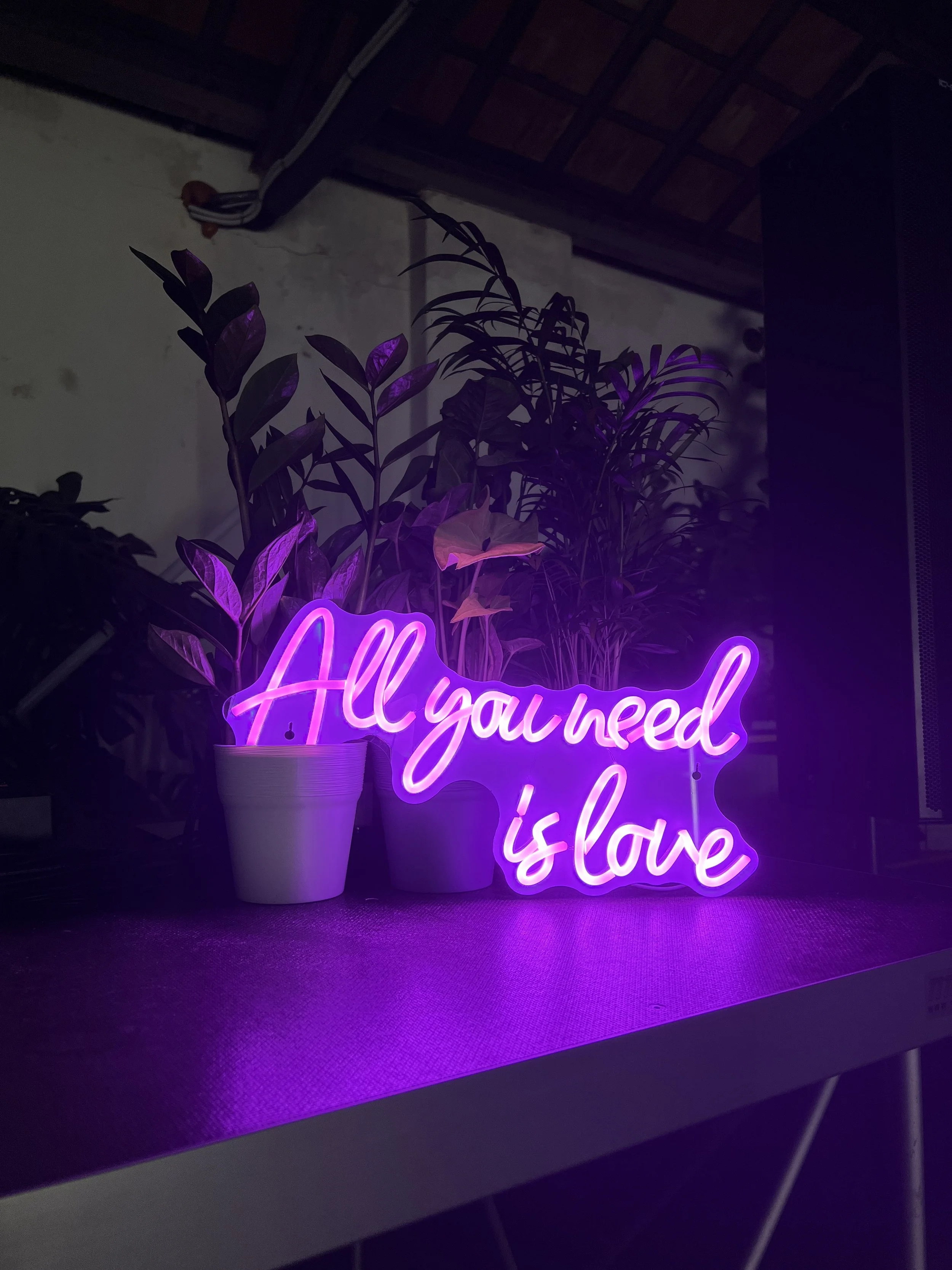 Cartello al neon viola "All you need is love" vicino a piante in vaso su un tavolo.