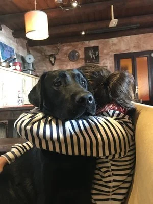 Una persona abbraccia affettuosamente un cane nero in una stanza accogliente.