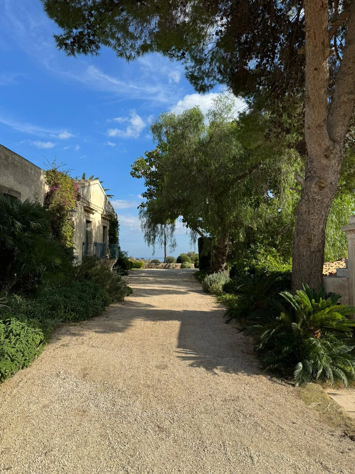 Sentiero ghiaioso tra alberi e piante con cielo azzurro e edificio parzialmente visibile.