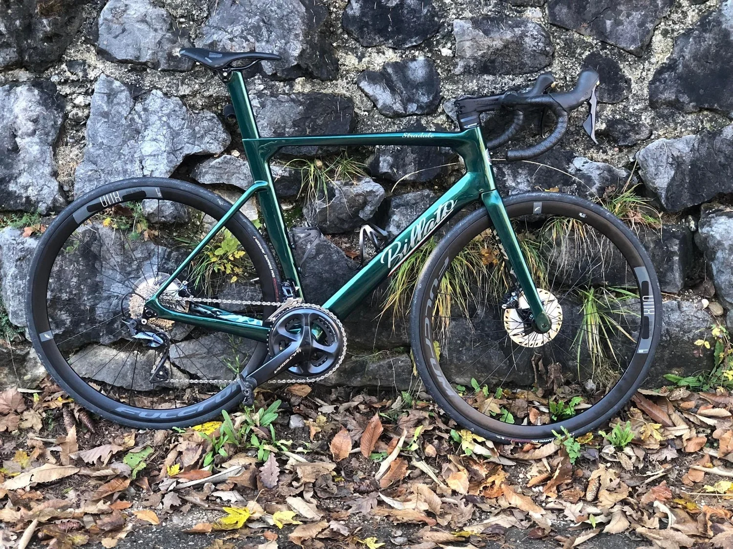 British%2BGreen.jpg?format=1500w
