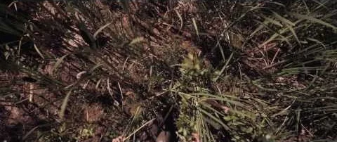 JP Maurice - THE OTHER ONE (Official Video)