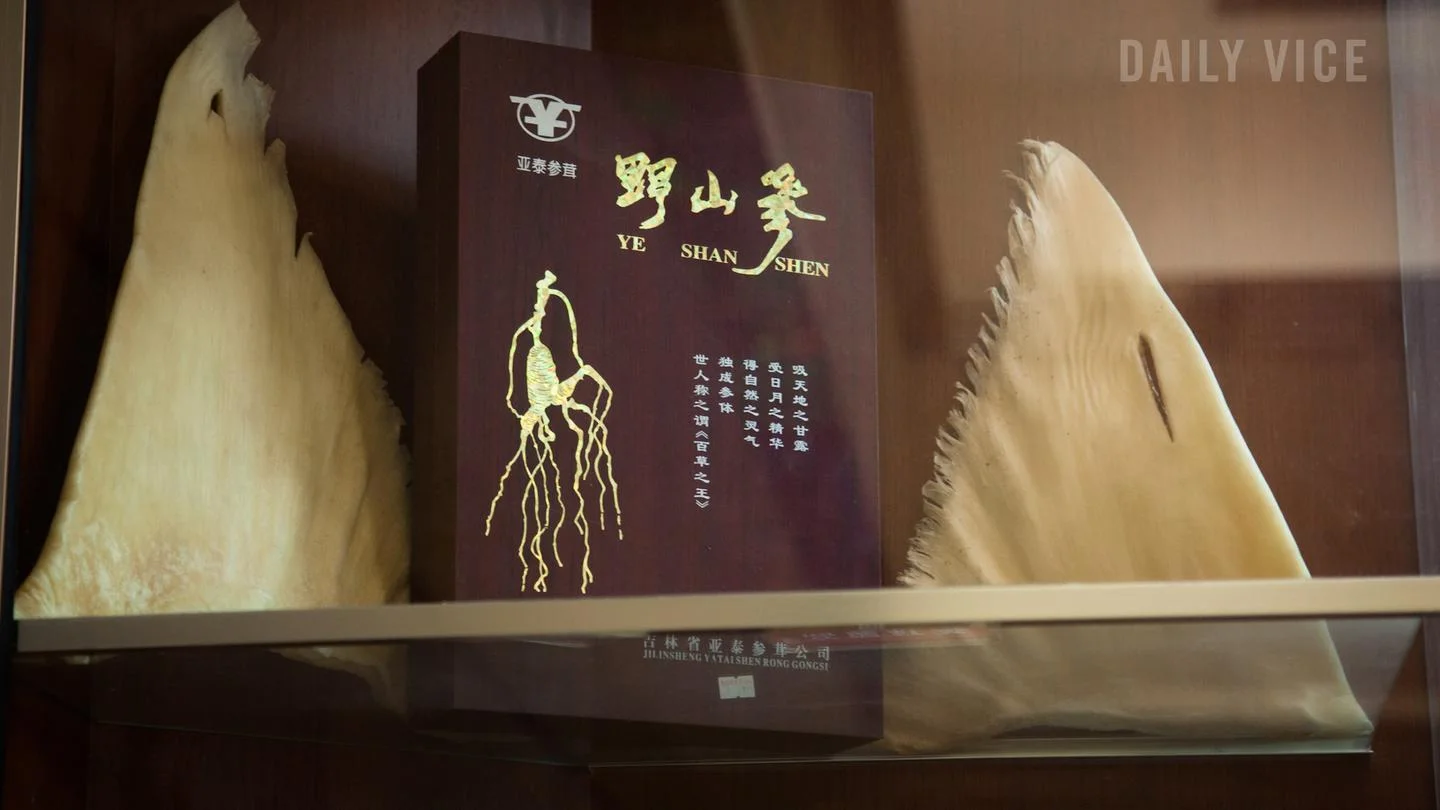 VICE: 'It Was Like Seeing a Rhino Horn': The Day I Realized Shark Fin Is Still Sold in Canada