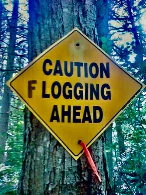 Flogging_Sign_by_SteveChase.jpg