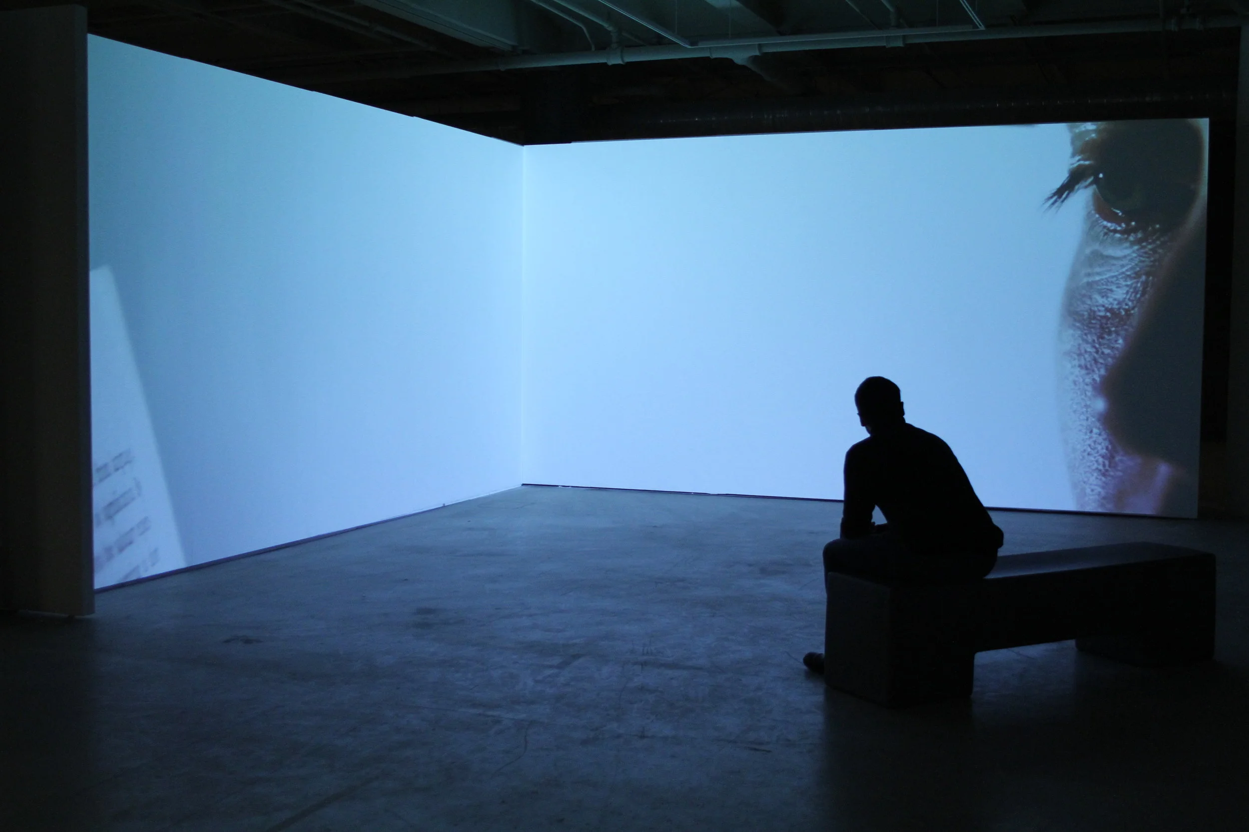 Sullivan Galleries, Chicago