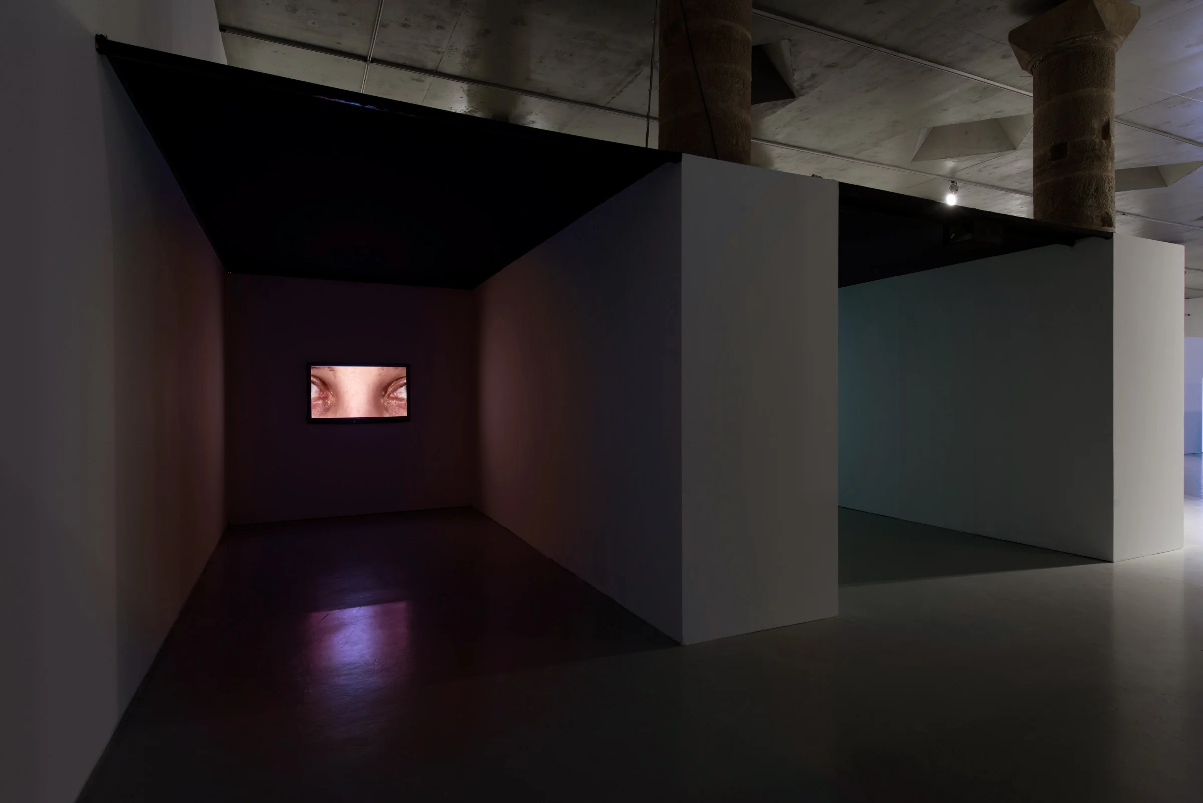 La Panera Centre d'Art, Biennial