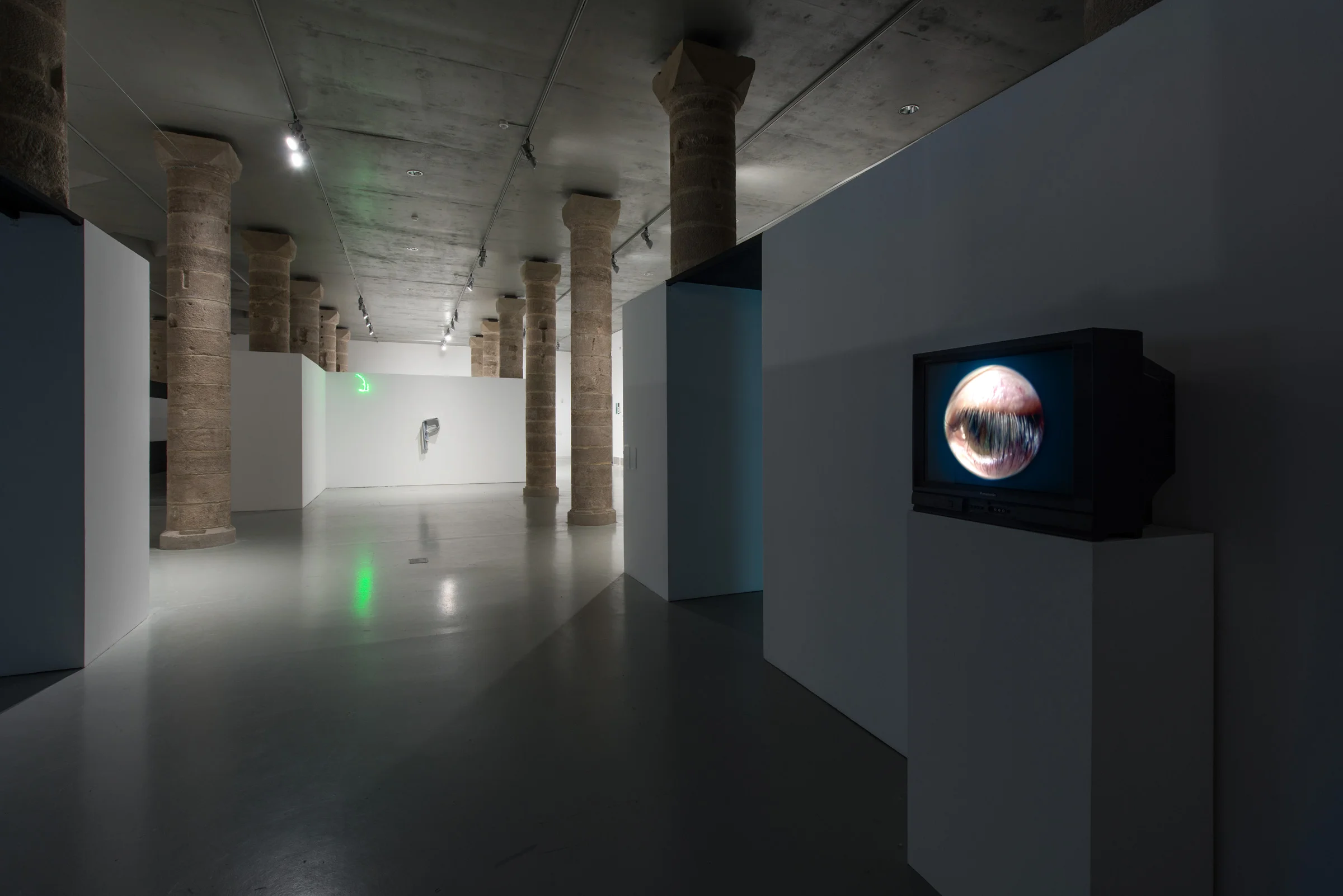 La Panera Centre d'Art, Biennial