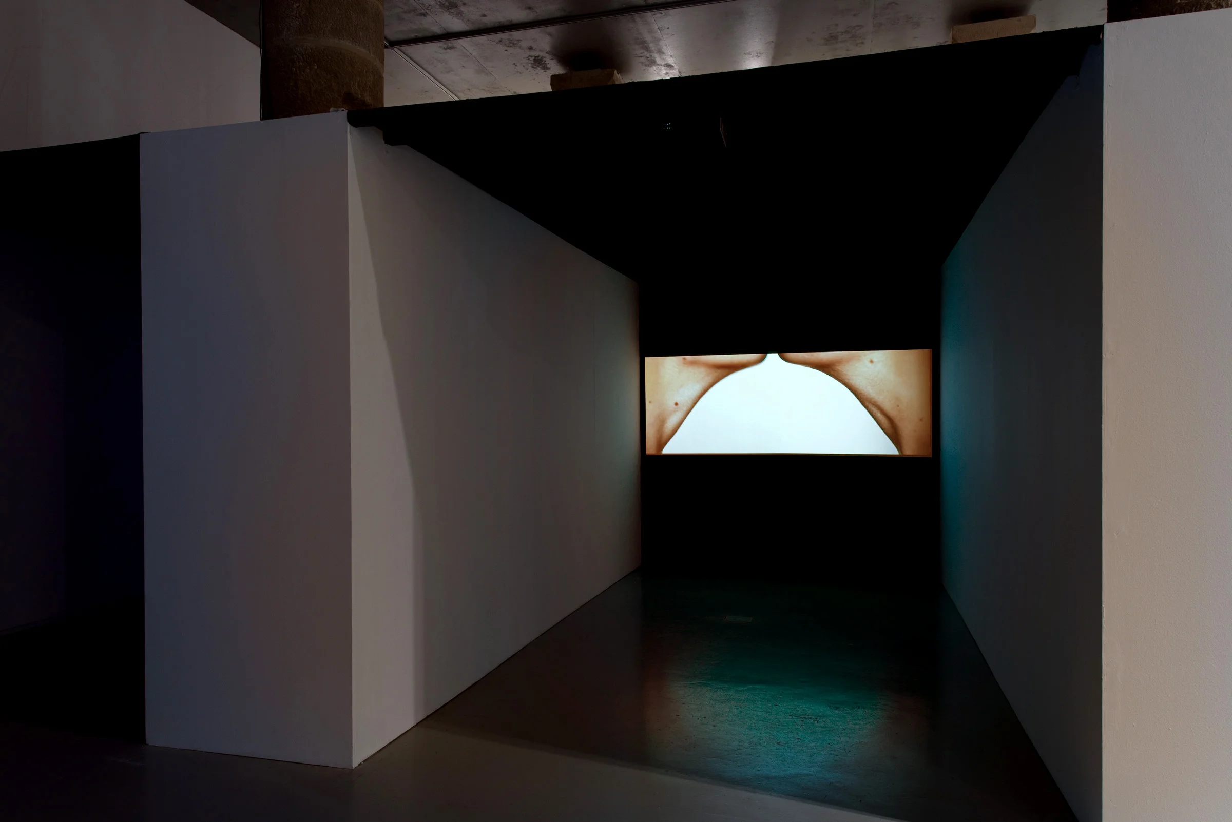 La Panera Centre d'Art, Biennial