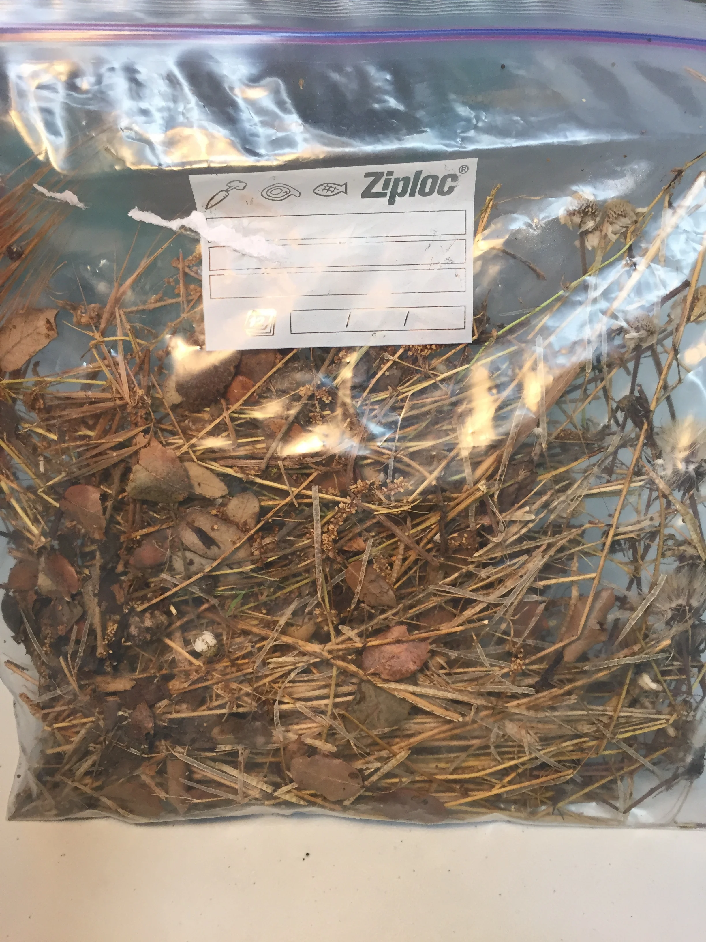  bringing madrid's dryness to nyc 