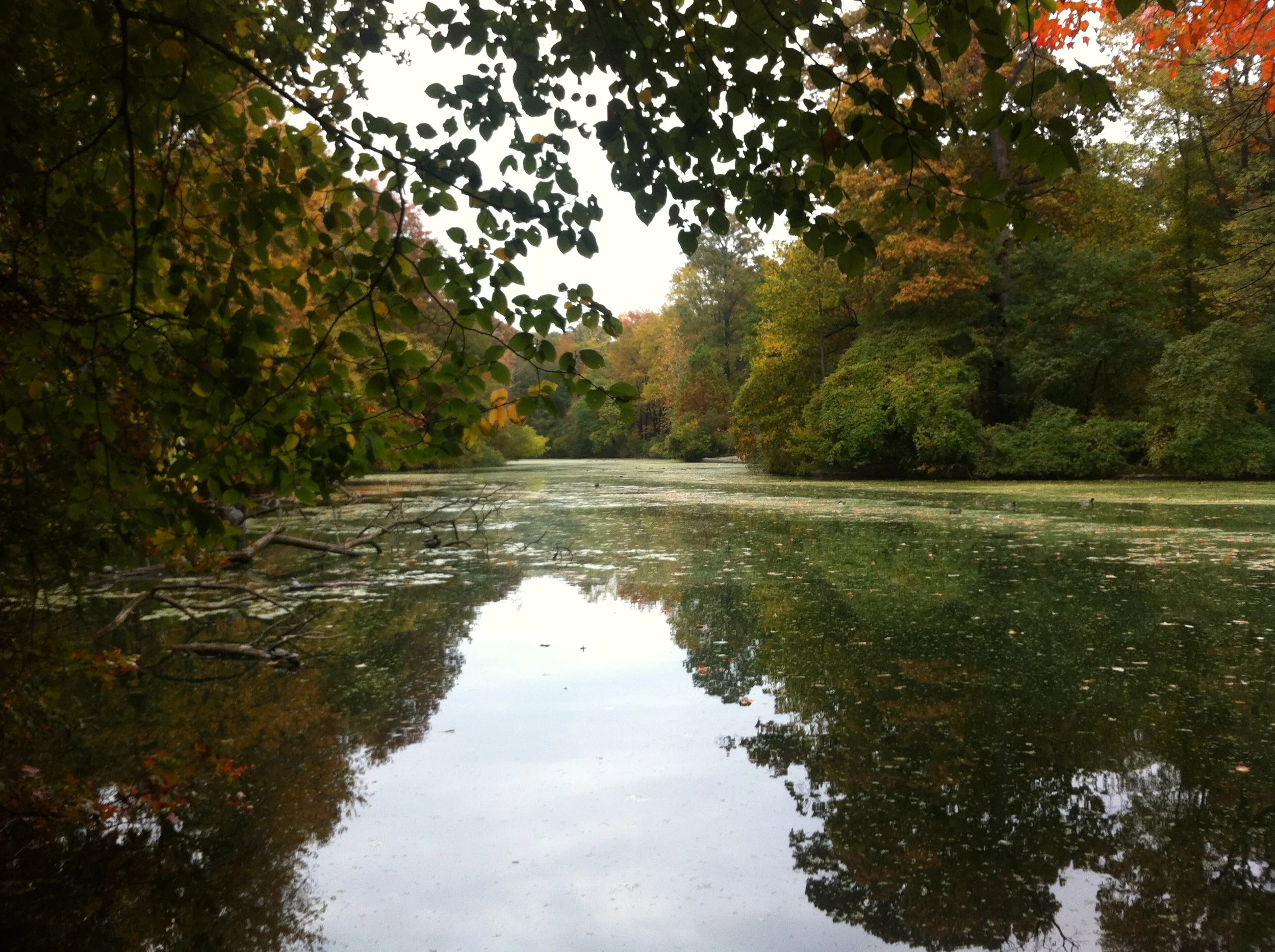  Shooting tests and research starts in fall... 