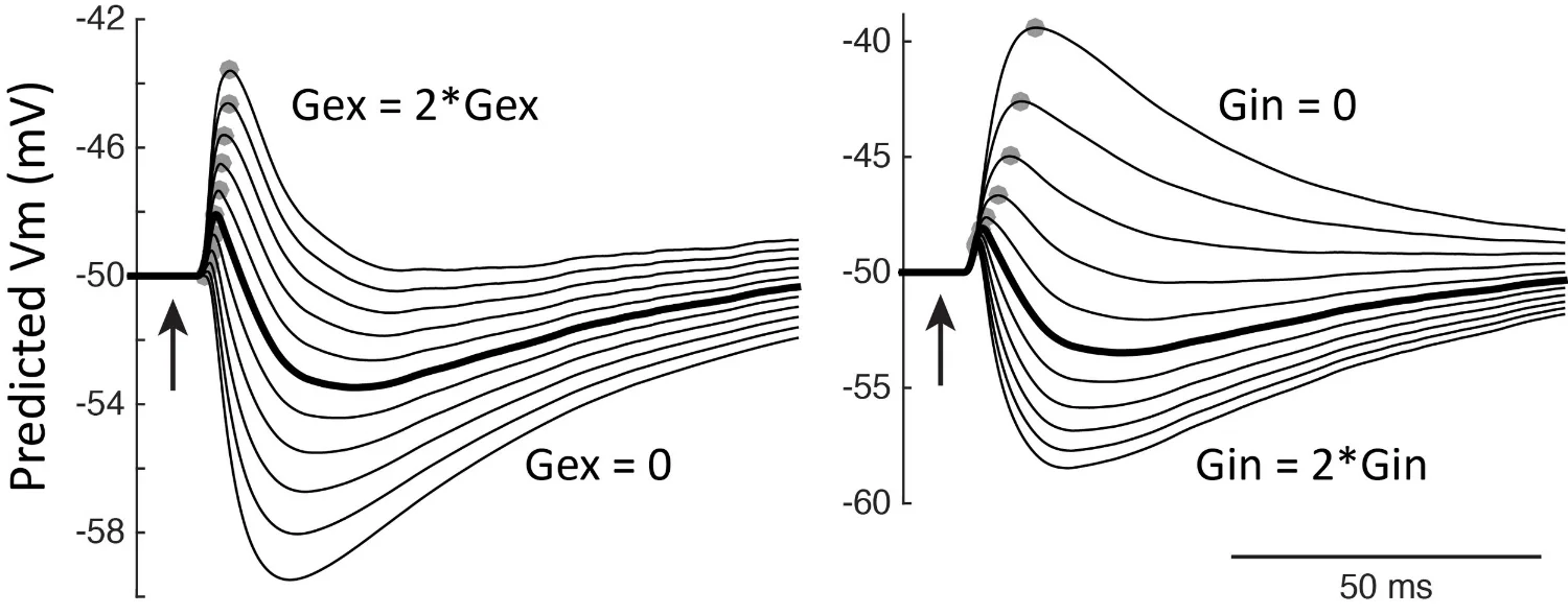 Modeling post-synaptic potentials evoked near threshold using measured excitatory and inhibitory synaptic conductances