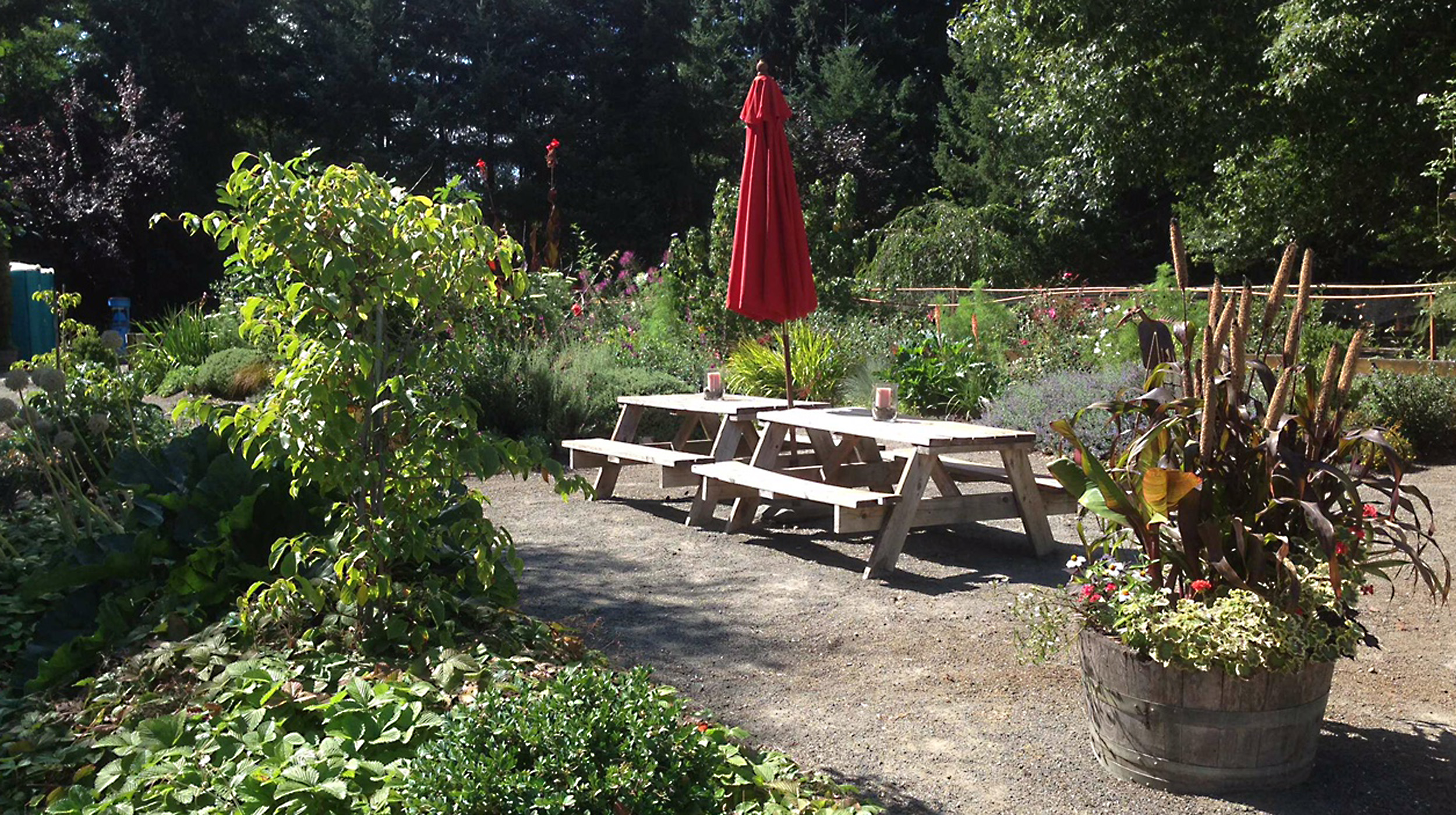 Picnic Tables in the Garden