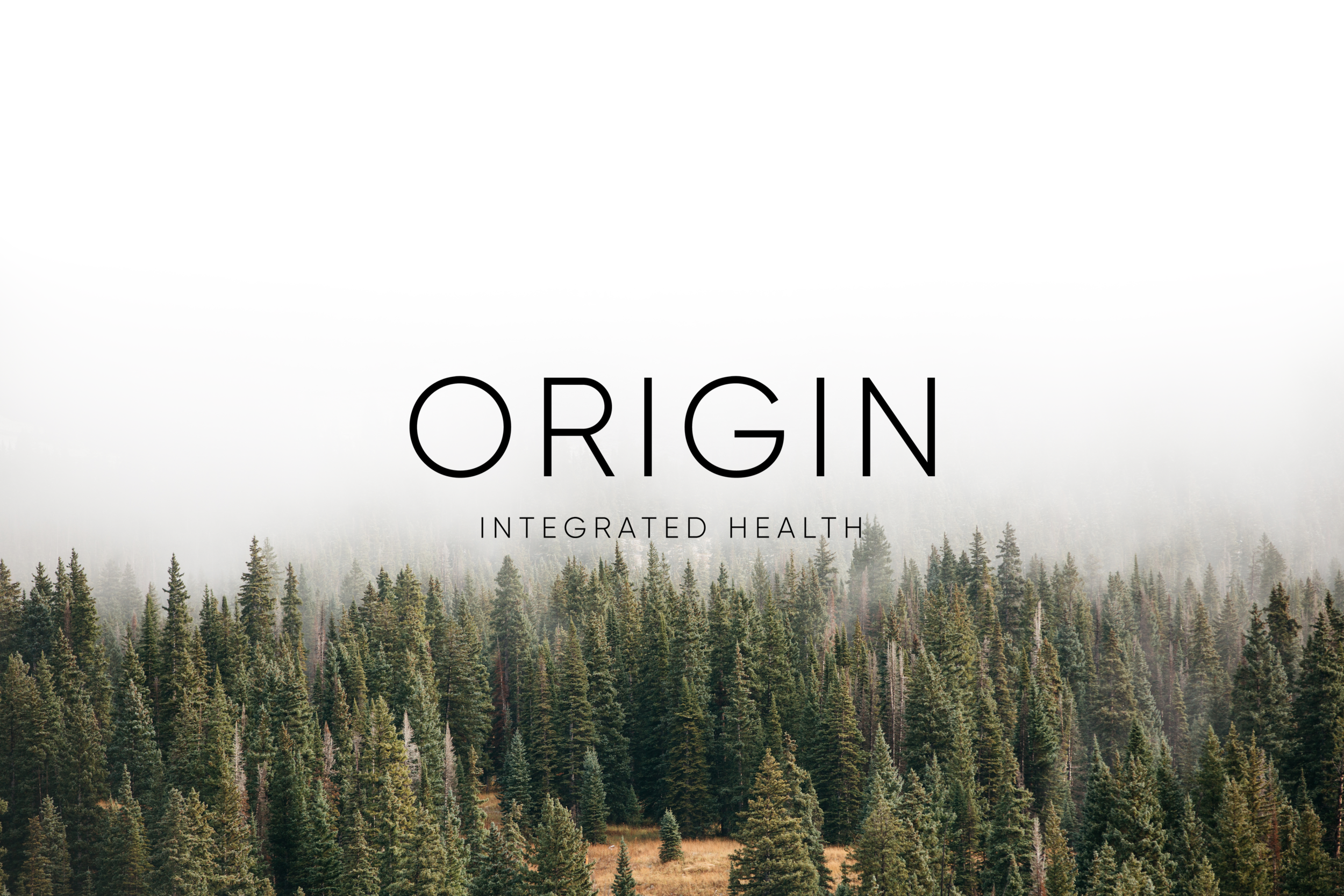 Origin-Home1.png