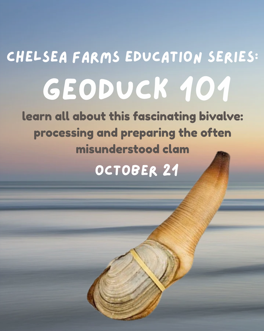Geoduck 101