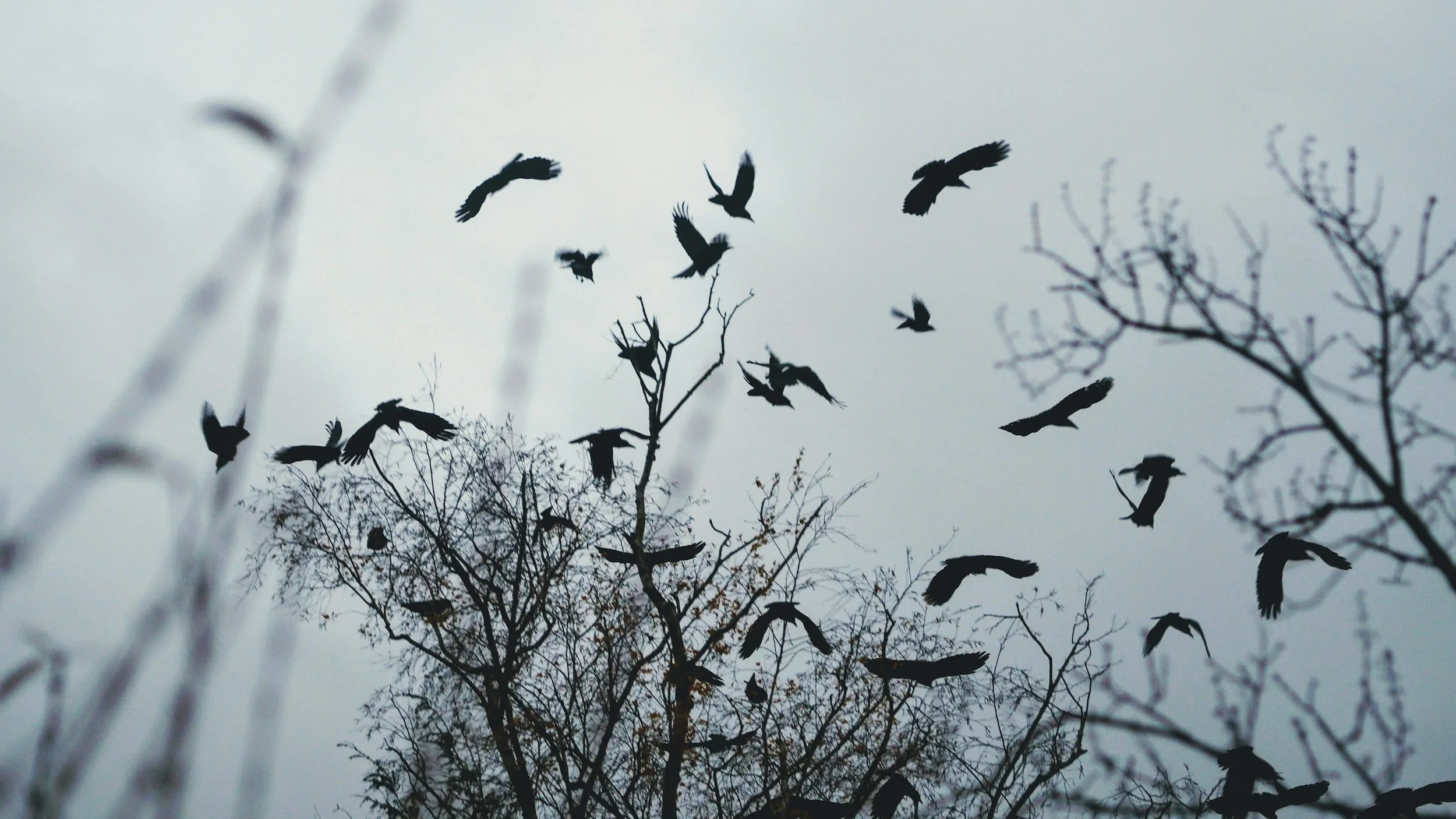 Navigating a Diagnosis of Depression