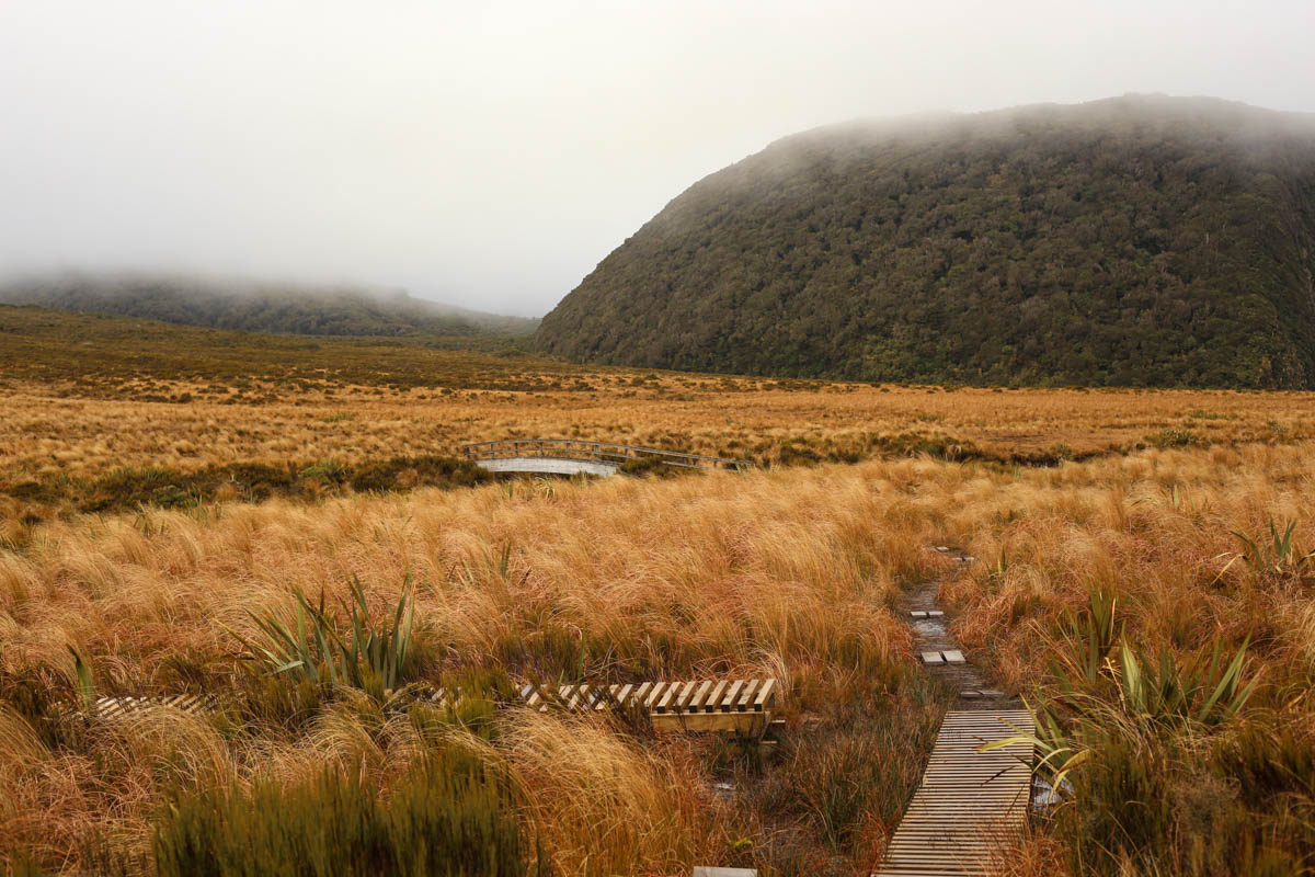The dead marshes.