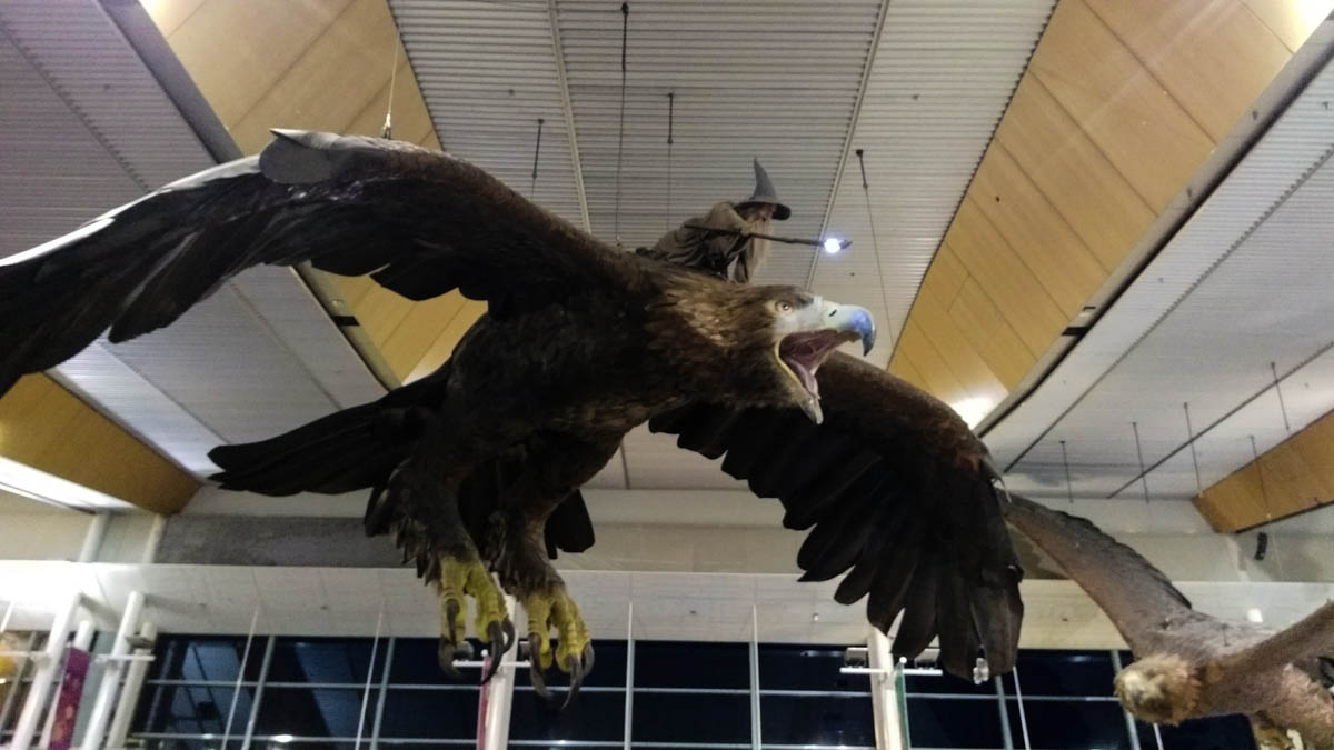 Safe landing back in Wellywood.