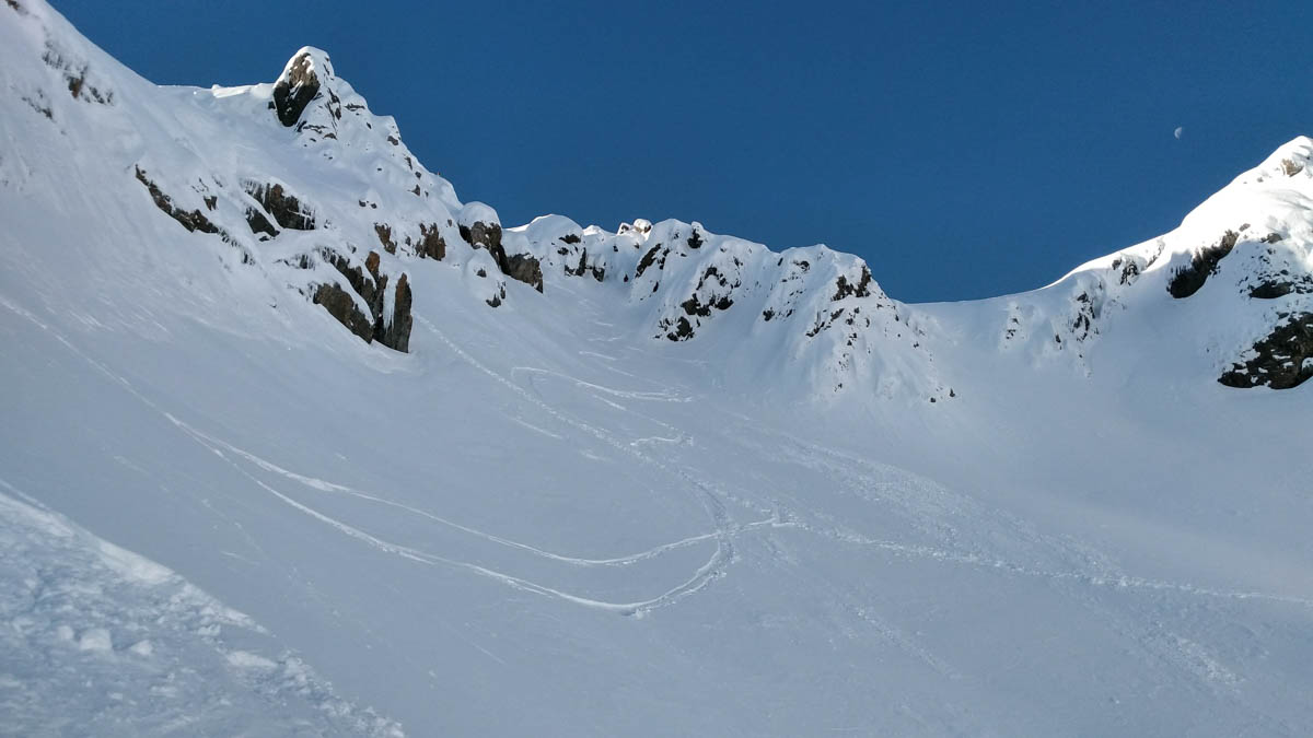 All for those sweet, sweet first tracks.
