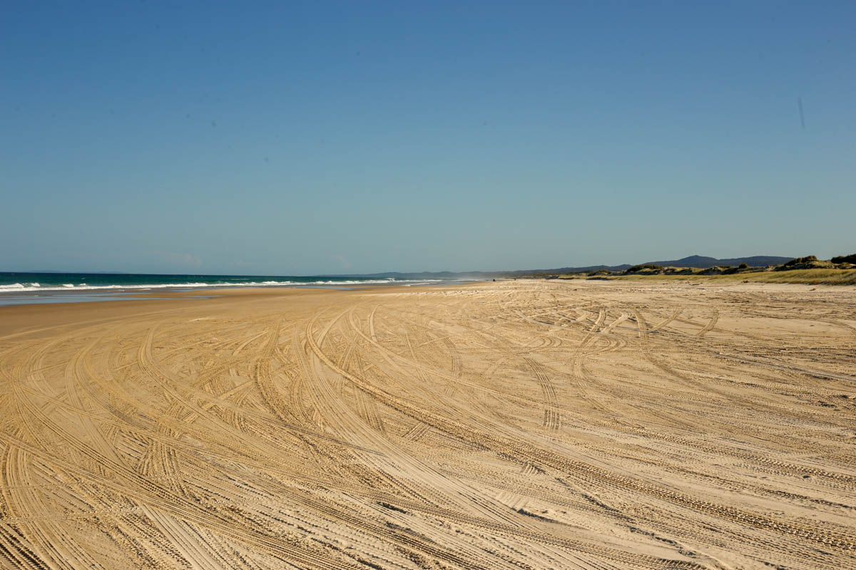 Seriously. At some point you’d expect there to be like 1 person on a beach like that.