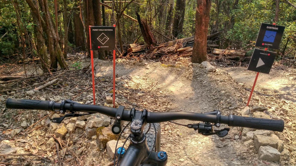 Sampling the local gravity park.