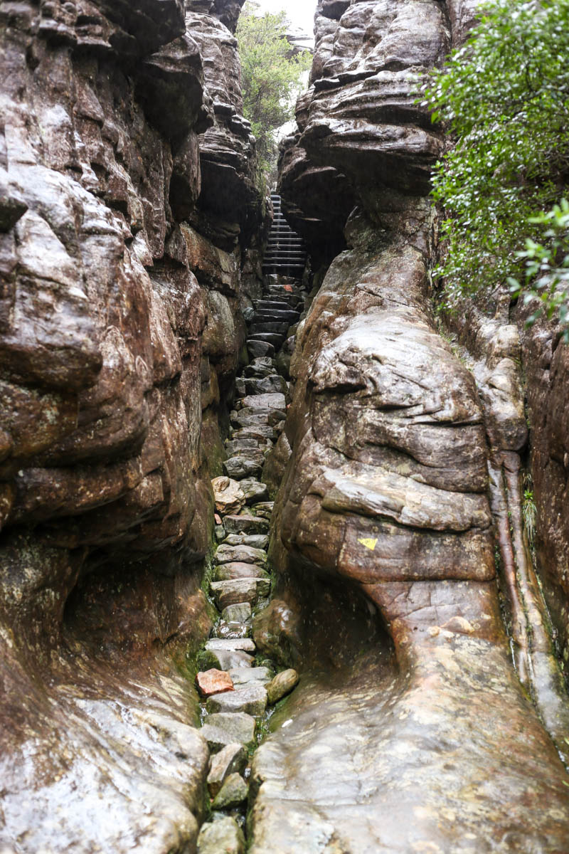 How does a slot like this go to the top of a mountain?!