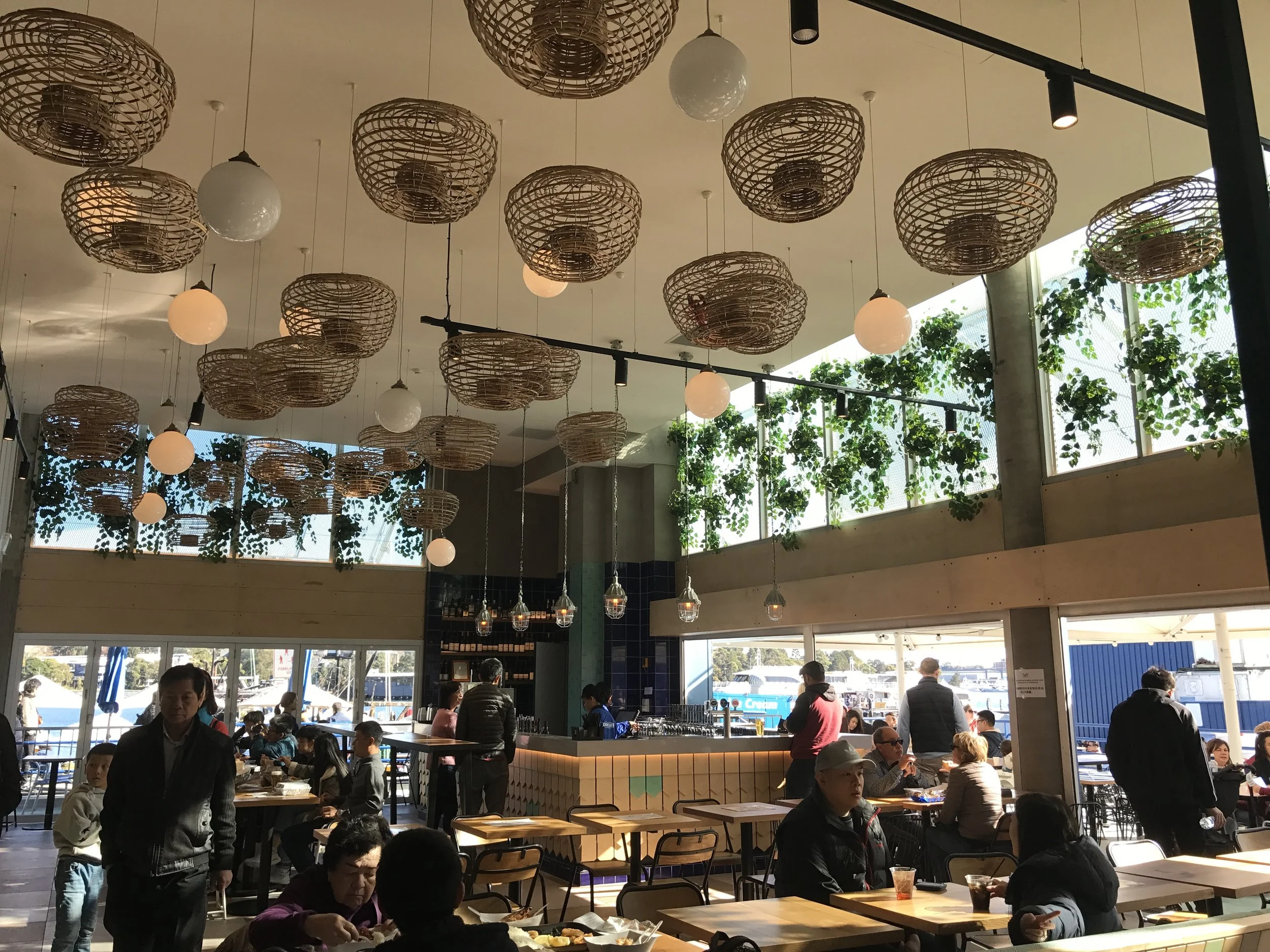 Inside of Doyles