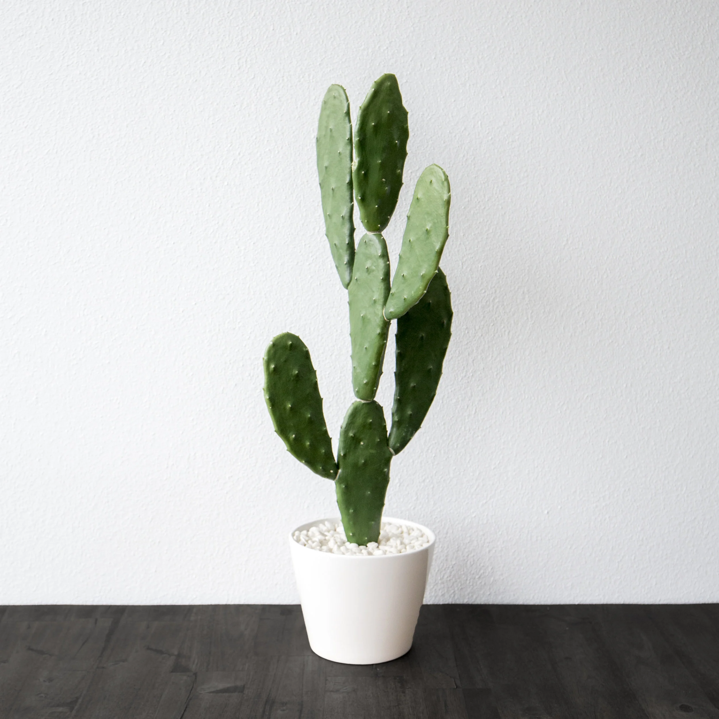 Artificial Cactus - Fake Greenery - Tanika Blair - Ex Prop Shop -IMG_2321 - black table top.jpg