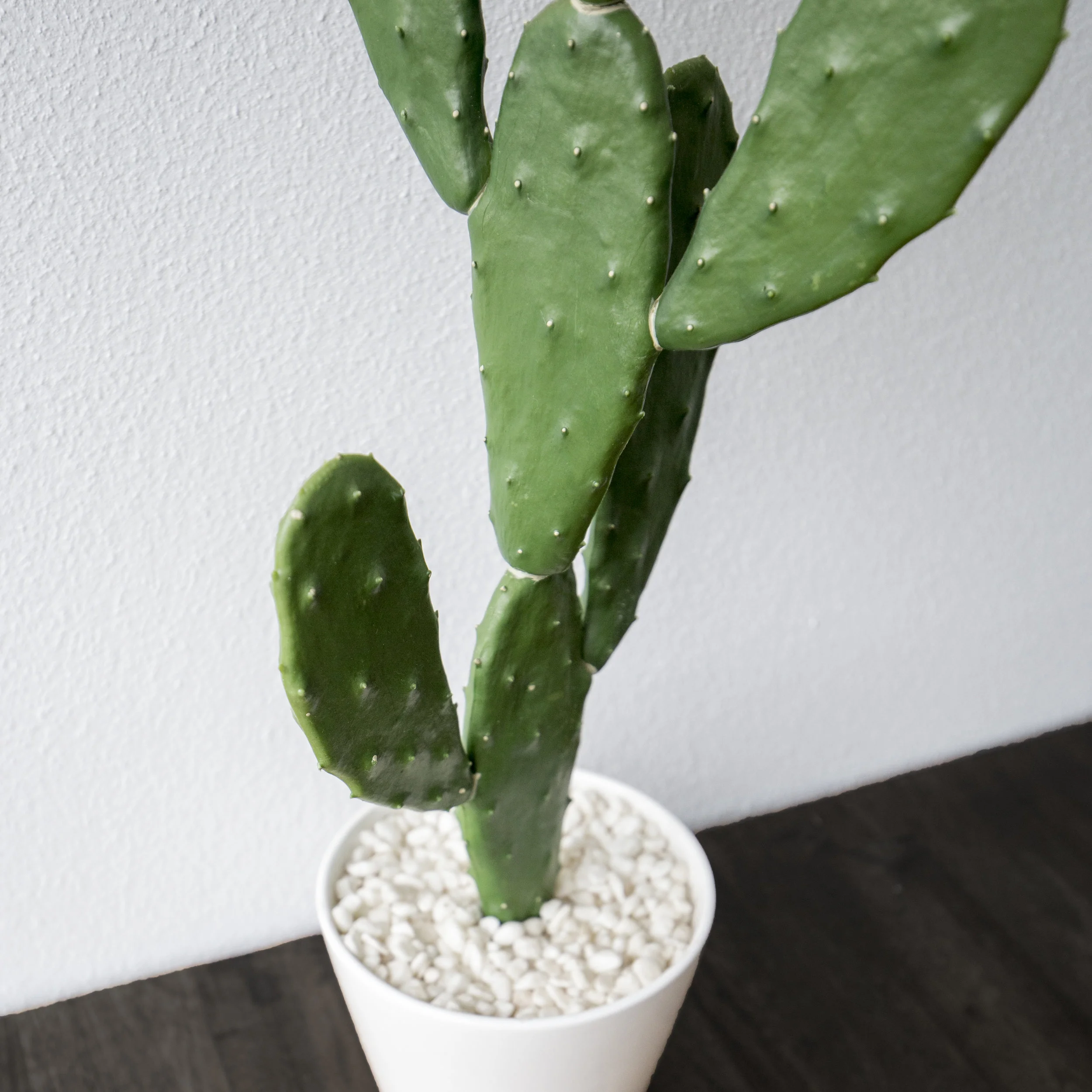 Artificial Cactus - Fake Greenery - Tanika Blair - Ex Prop Shop -IMG_2323 - black table top.jpg
