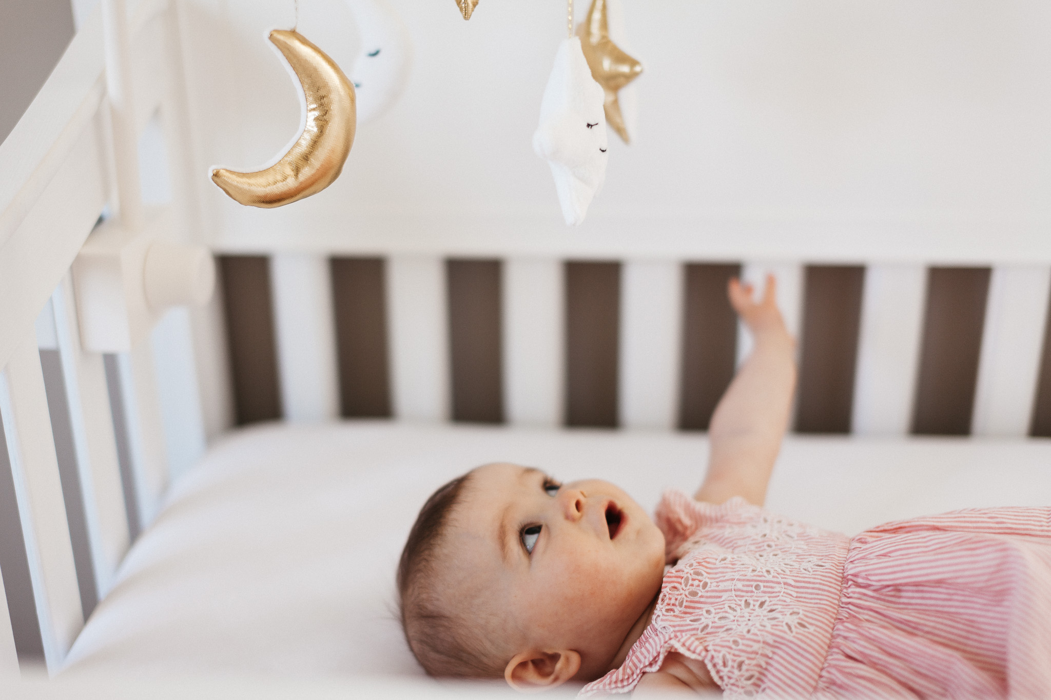 thomas wywrot photography nashville family photographer indoor in home pictures photos tn tennessee infant baby thompsons station franklin brentwood dog puppy nursery dad father mother mom girl