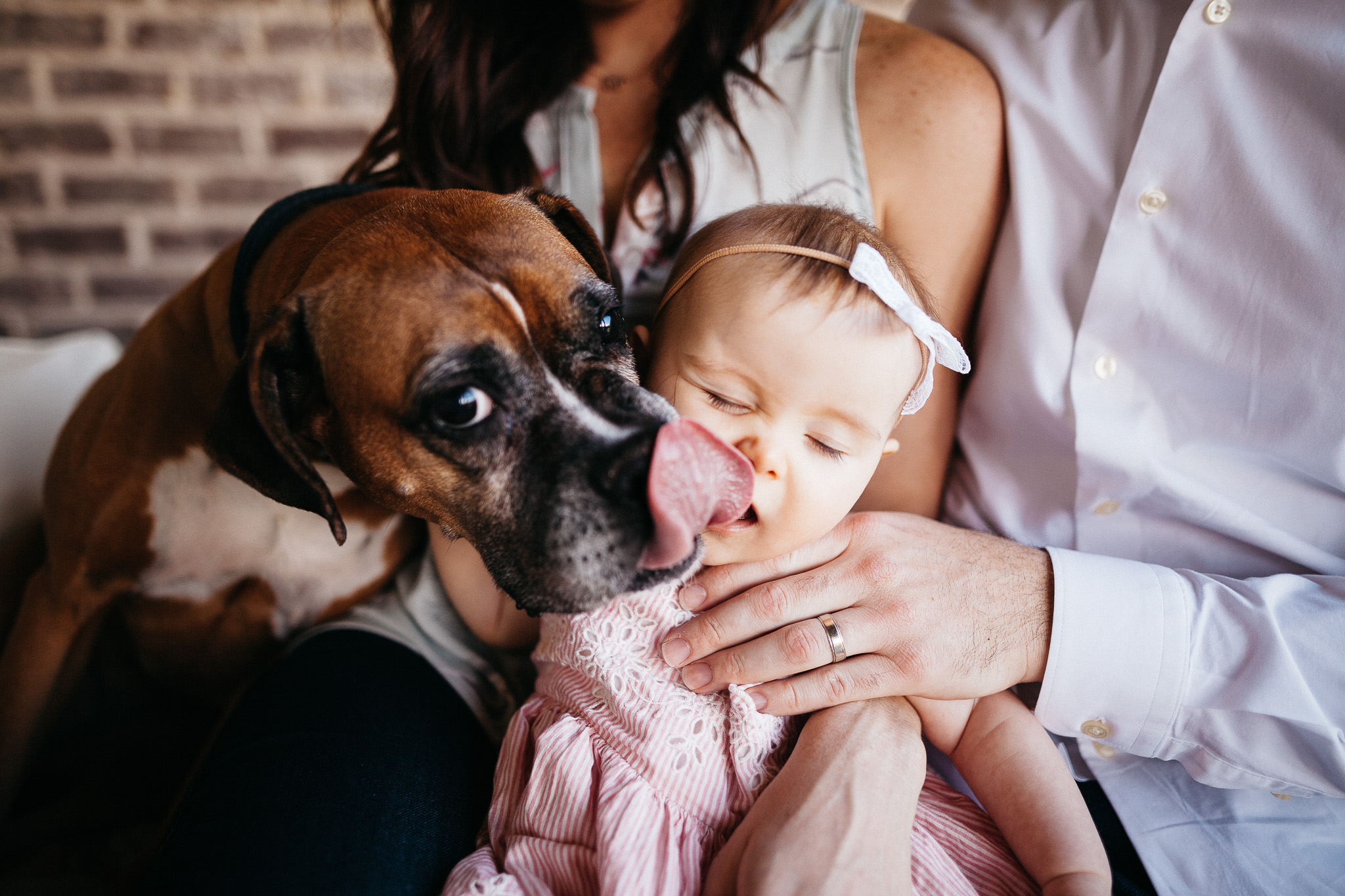 thomas wywrot photography nashville family photographer indoor in home pictures photos tn tennessee infant baby thompsons station franklin brentwood dog puppy nursery dad father mother mom girl