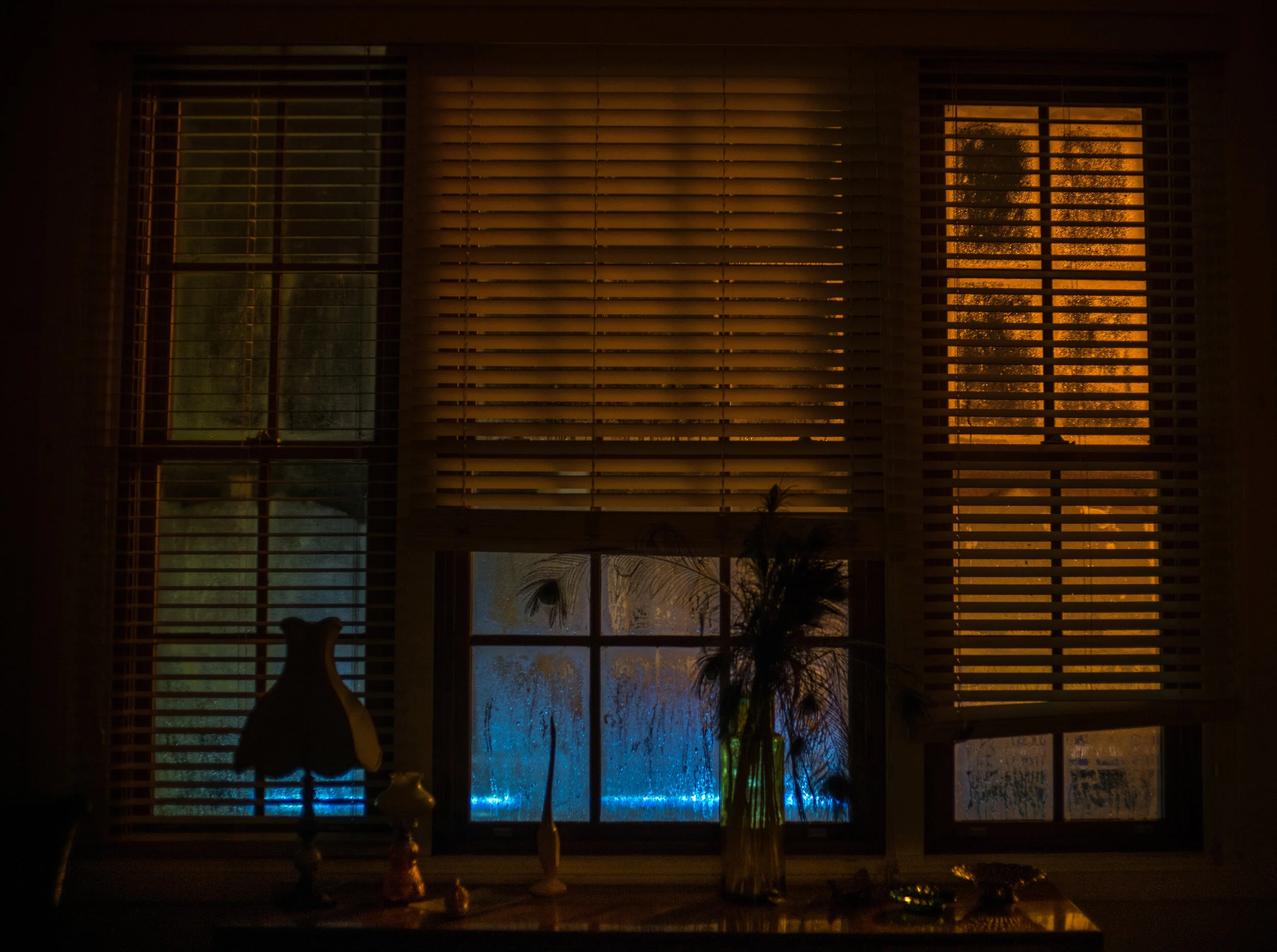 _DSC9584.jpg