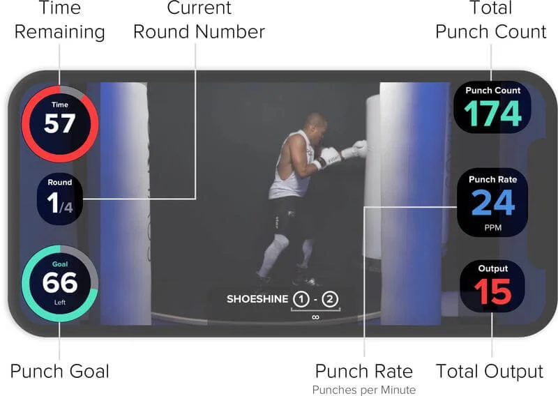 fightcamp-user-manual-live-screen.jpg