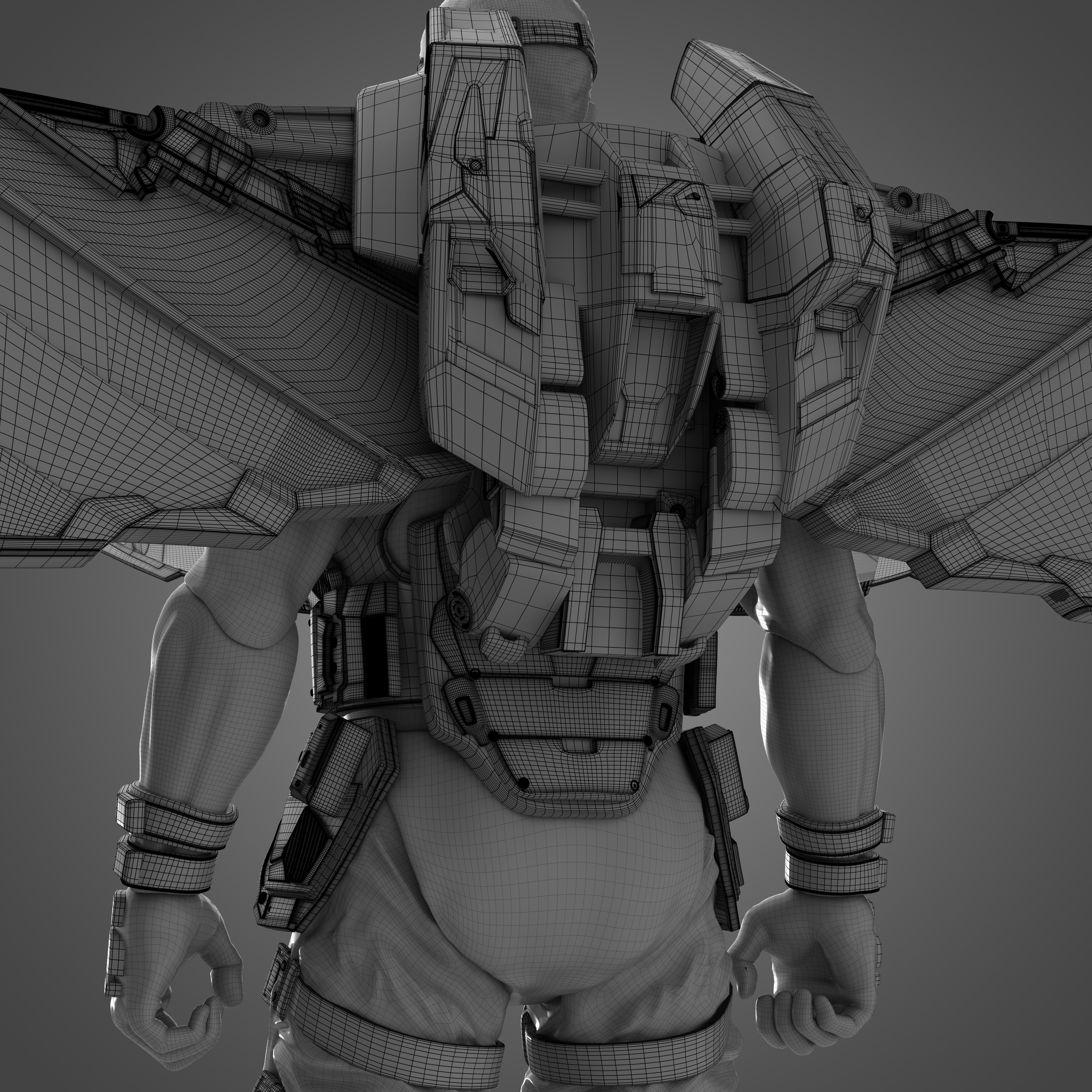Falcon_back.png