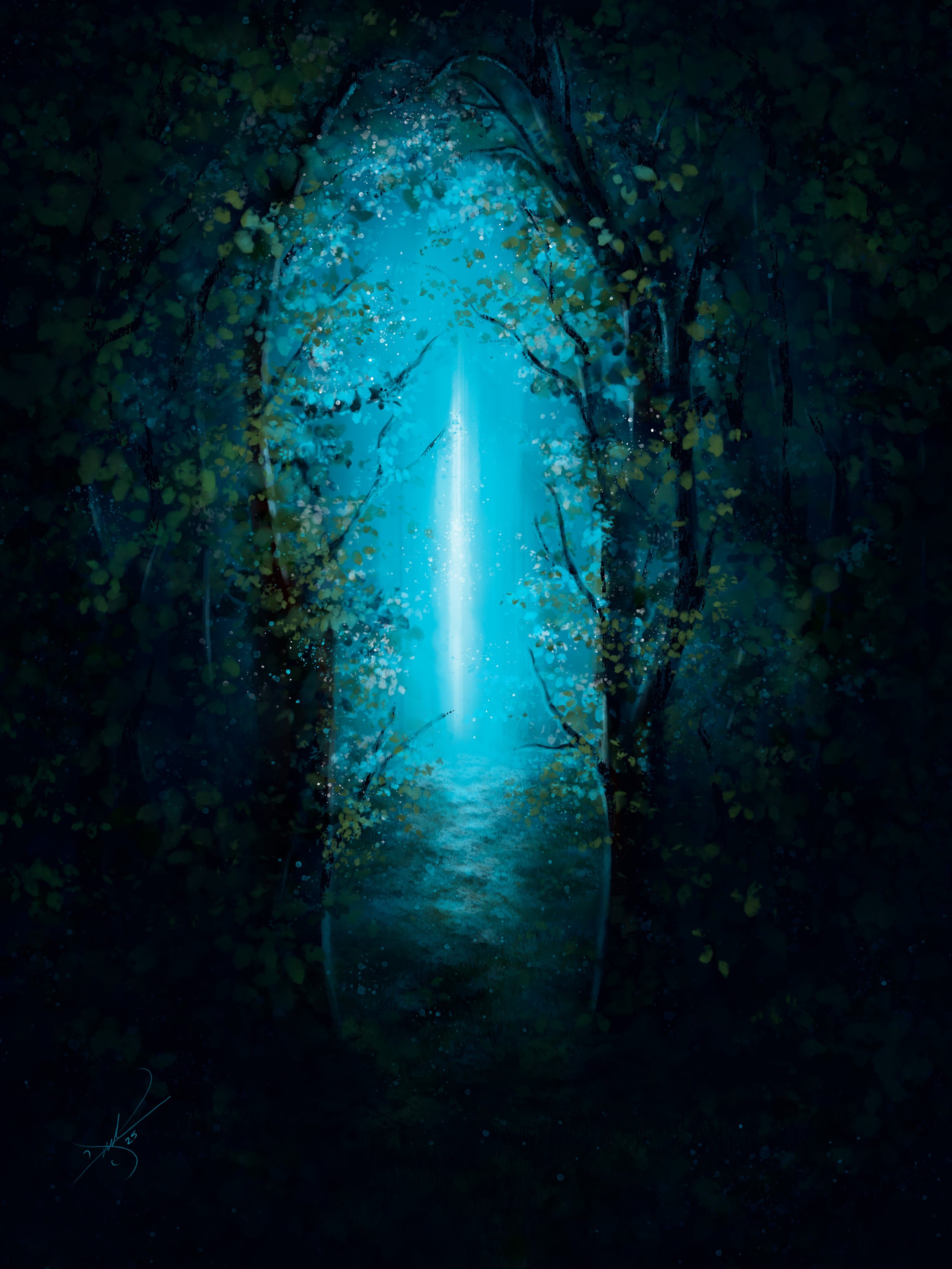 Midnight Dream