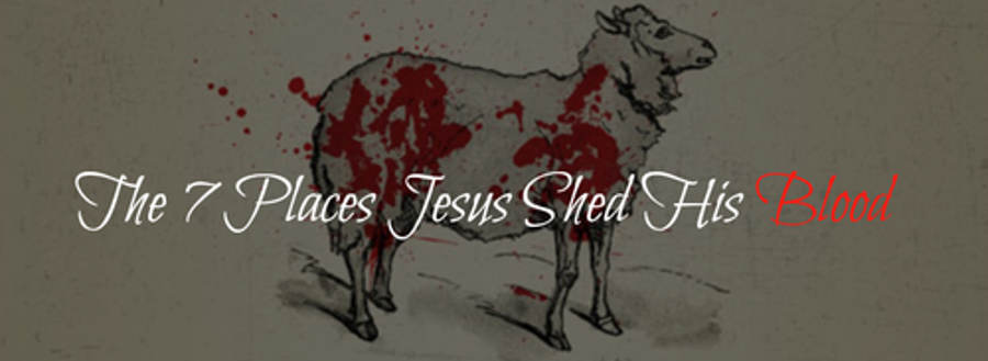 Seven Places (On The Cross)