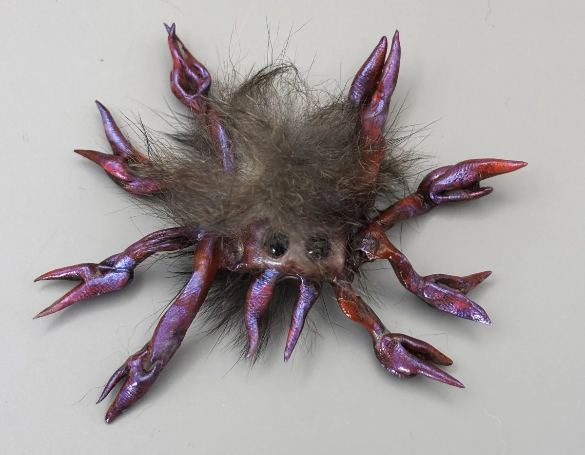 Spider 1