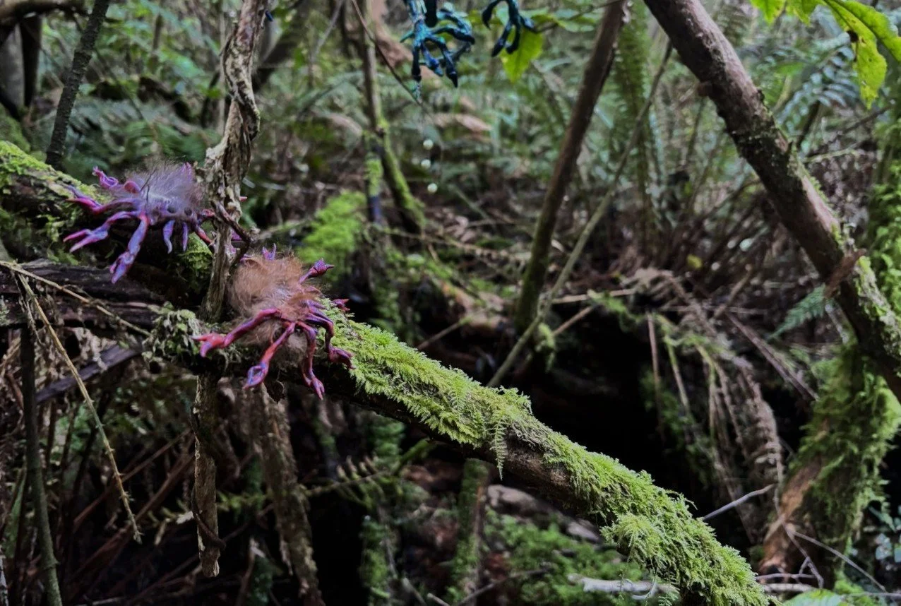 Close-up of moss-covered branch in a dense, lush forest, with small purple and brown frogs or amphibians on the branch.