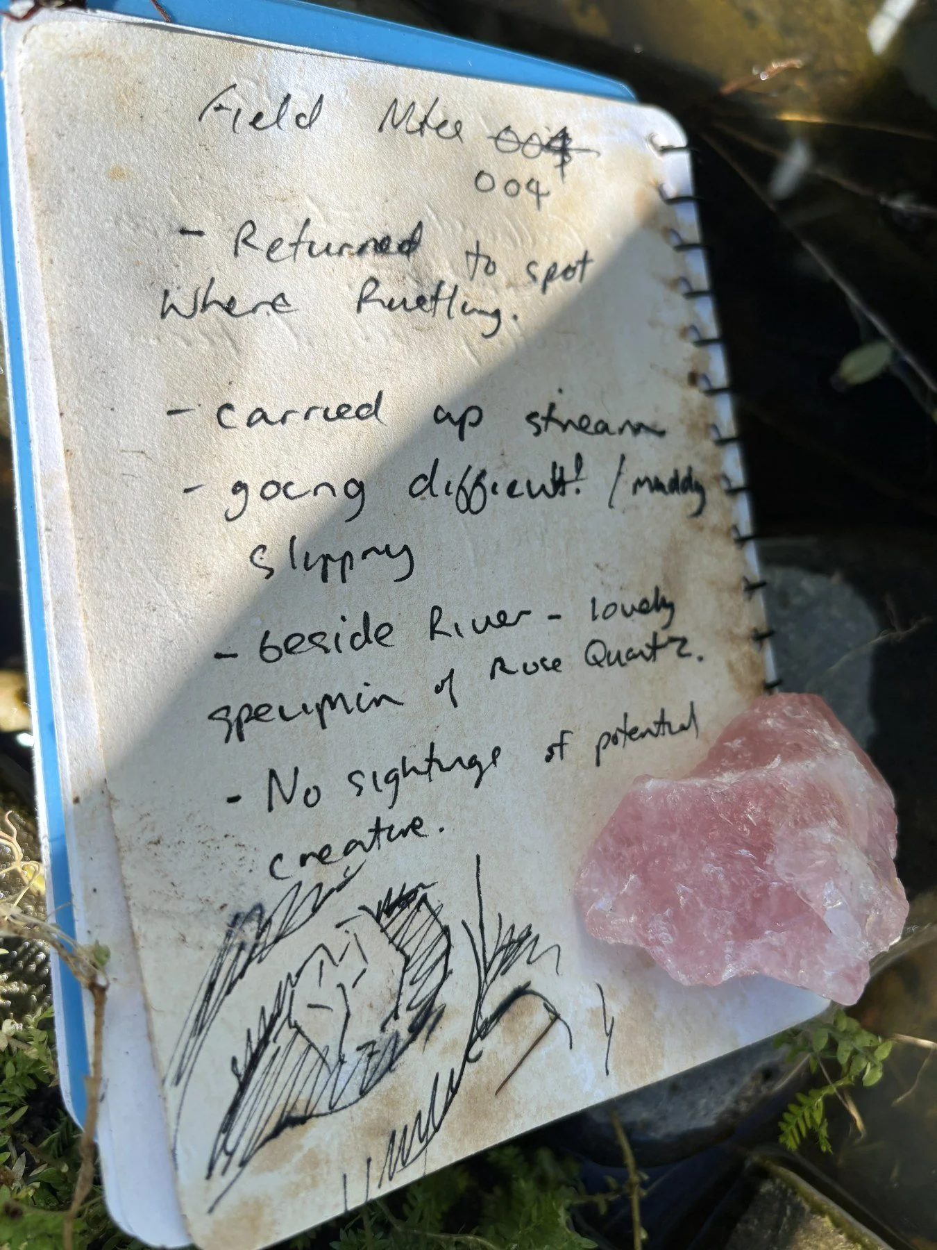 A handwritten note on a piece of paper with a drawing of a mountain and a pinkish crystal, resting on the ground among plants. The note includes details about a field trip, mentioning location, transportation, and observations.