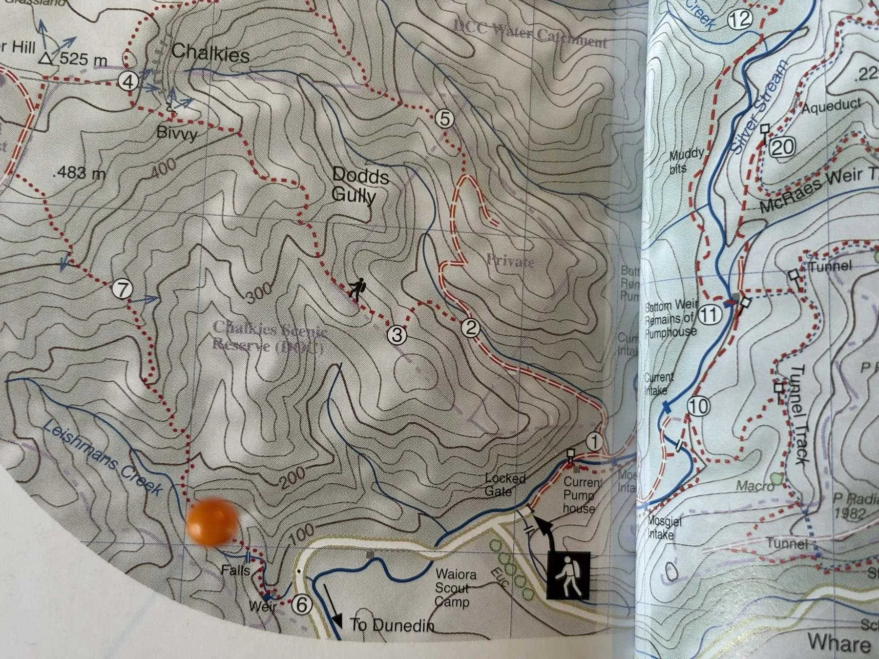 Topographic map of a hiking area featuring trails, contour lines, and landmarks such as Chalkies, Dodd's Gully, and Waiora Scout Camp, with trail markers and water streams.