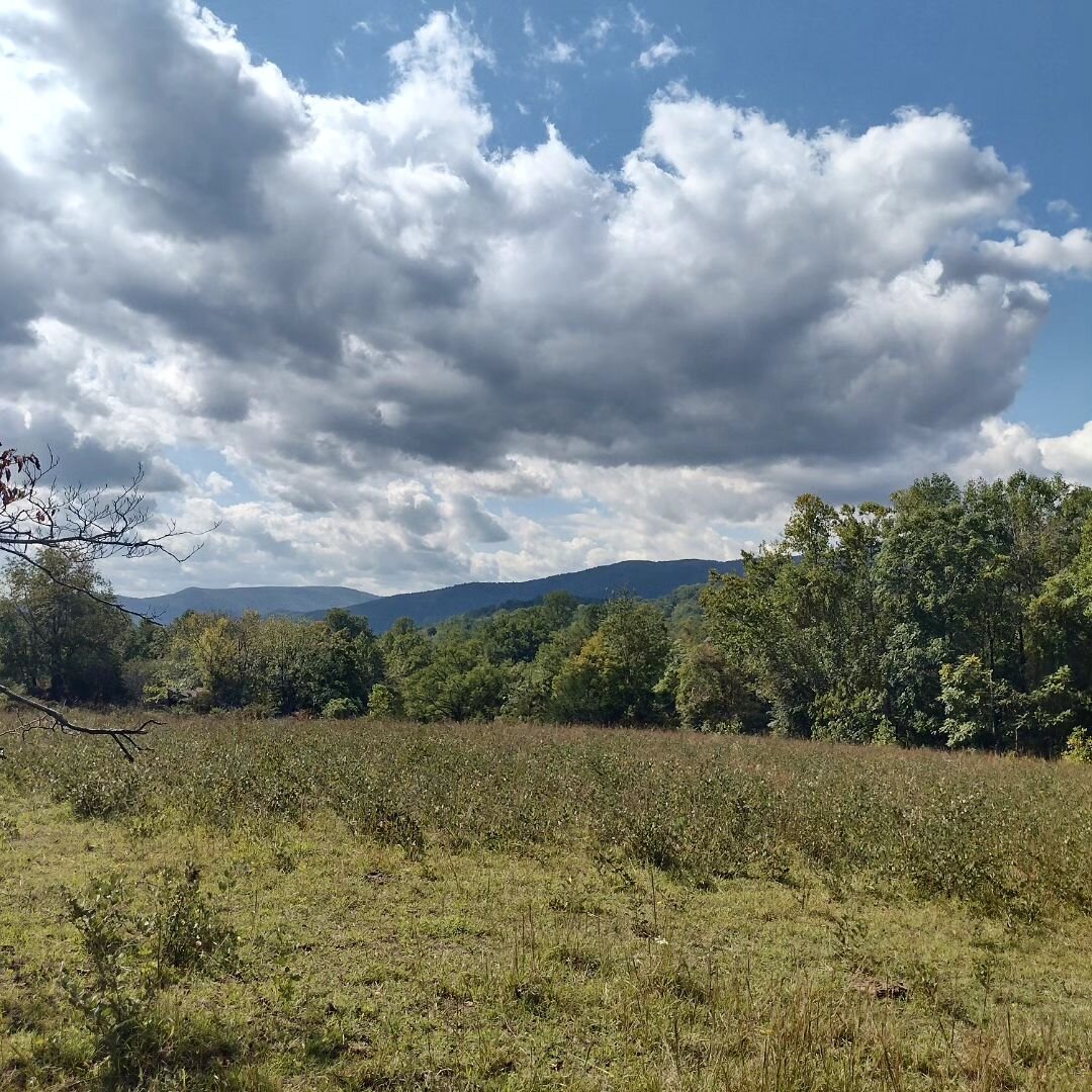 October 🍁🌾🎃

#october #blueridge #nature