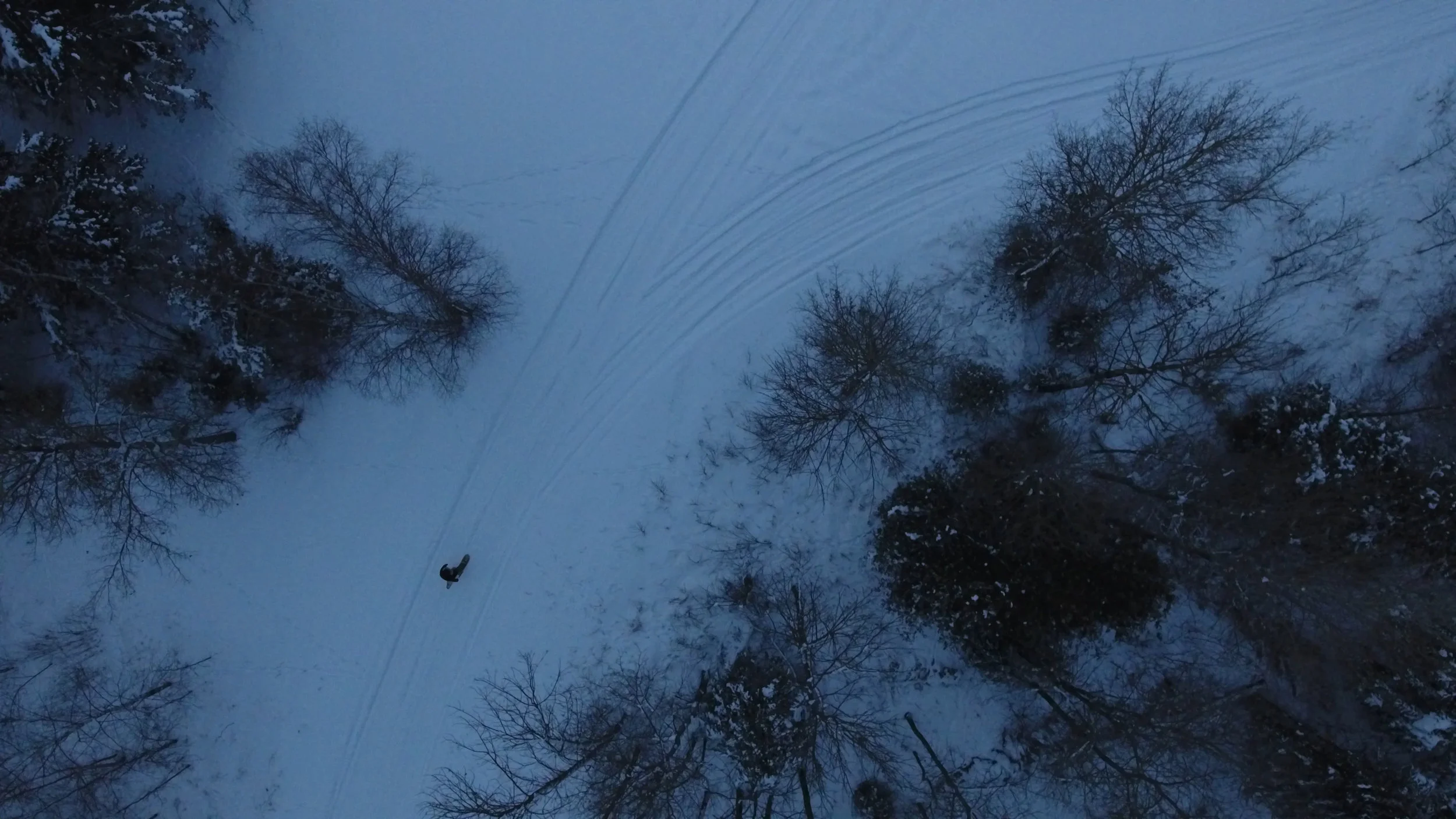 DroneSnowshoeStill.jpg