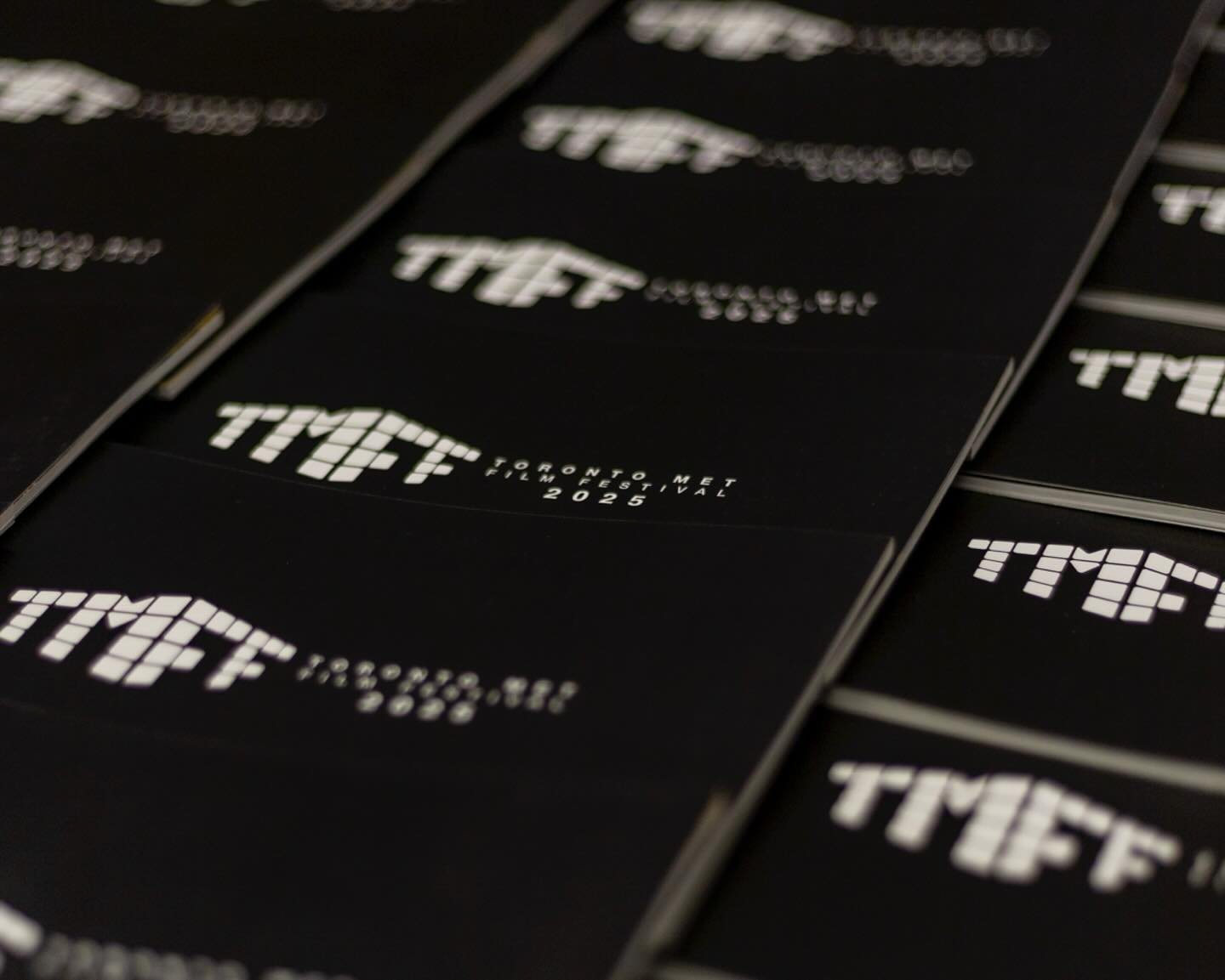 tmetfilmfest__2025-05-27T214925.000Z.jpg