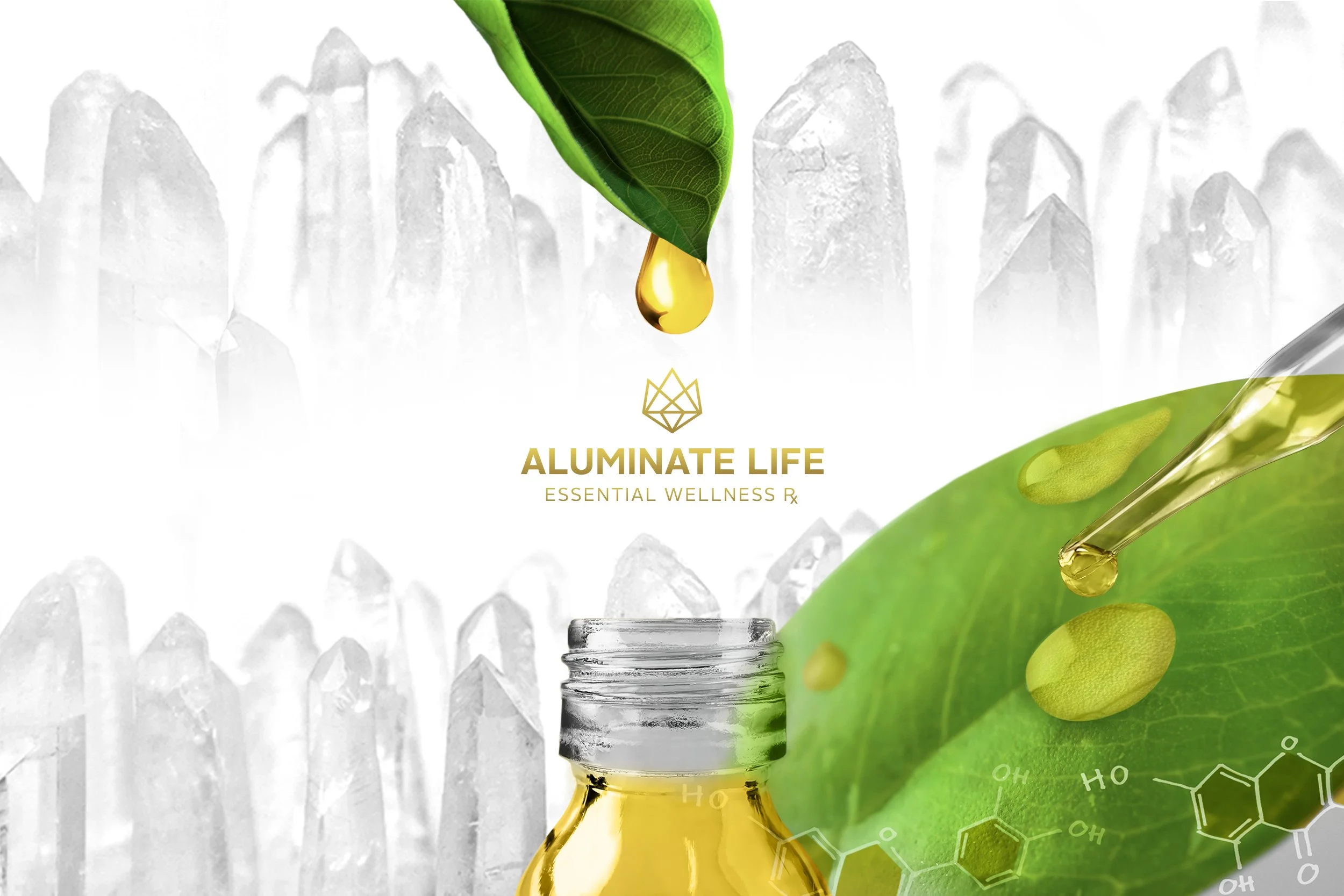 Gia-Marinella-Len-Aluminate-Life-01.JPG