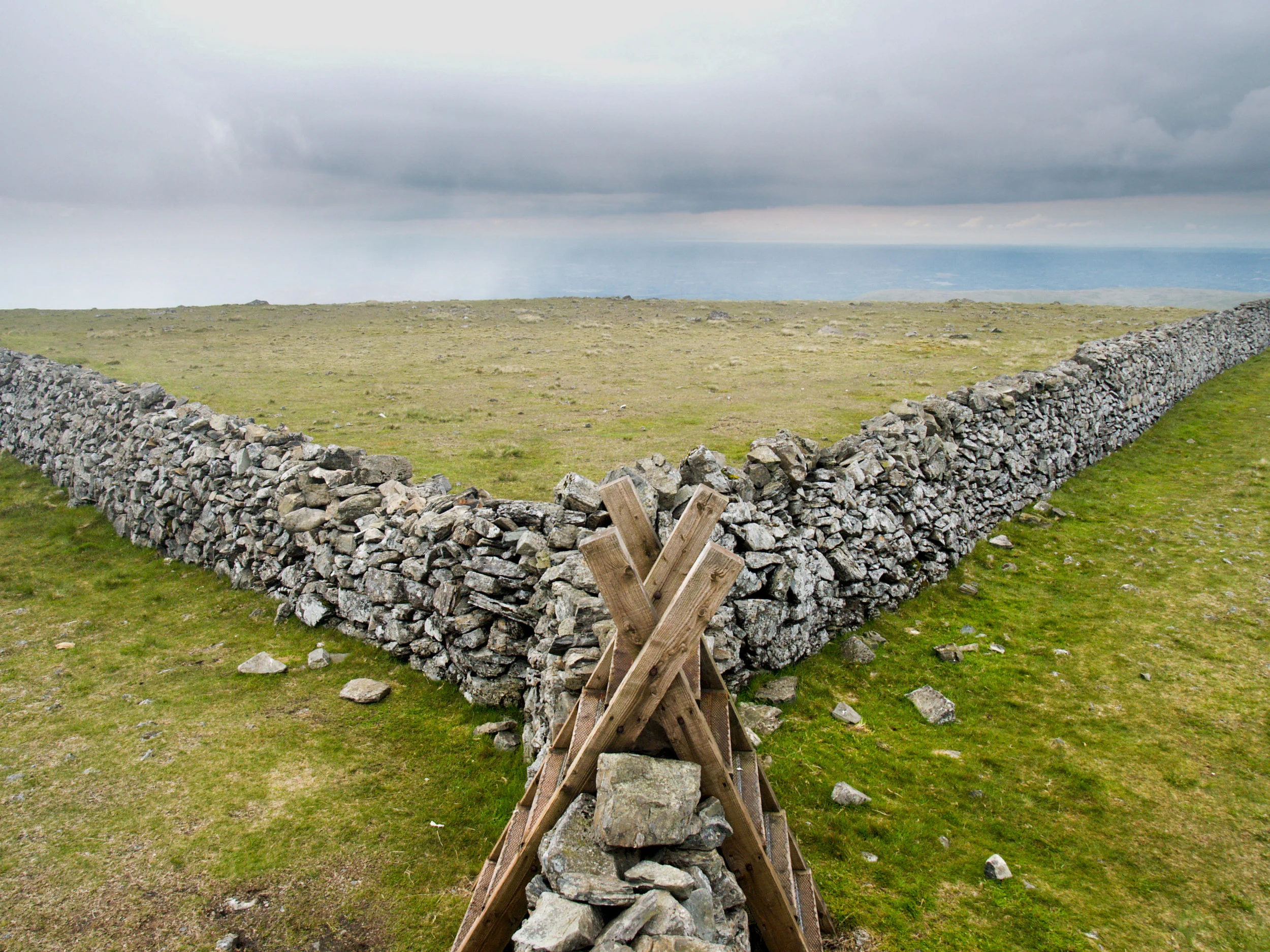 Photo by RafalBelzowski/iStock / Getty Images
