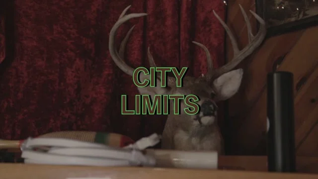 SexOffice - City Limits