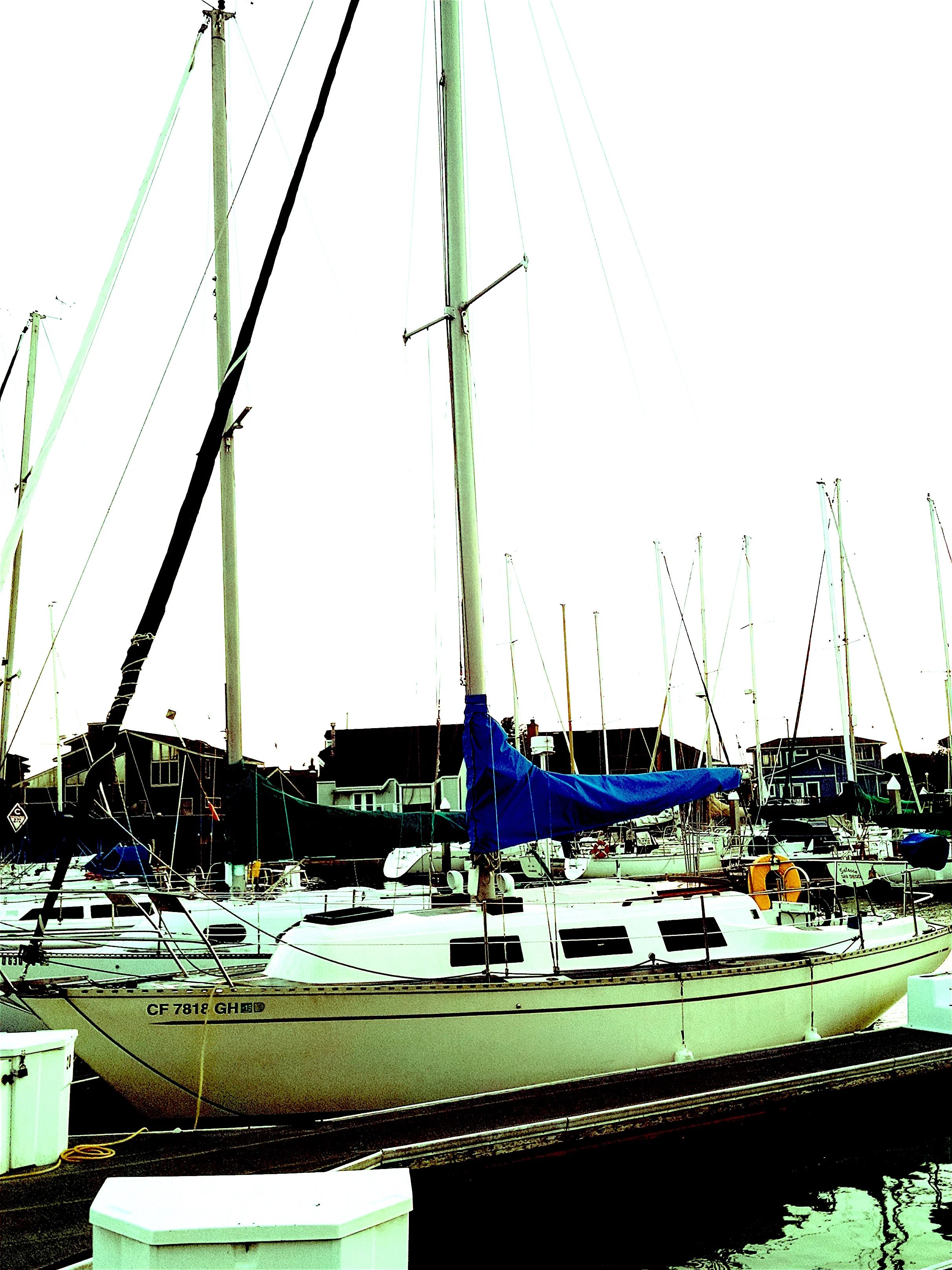"Nice Day on the Bay"
