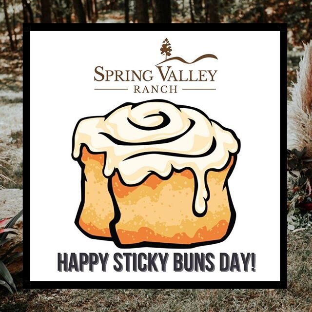 If you've ever been out to the ranch you know just how much we love our sticky buns for breakfast!☕️ So yummy! 😋 Enjoy some on this Fri-yay!!🥳 #nationalstickybunsday
#cinnamonrolls
#breakfast
#soyummy
#friyay
#guestranch
#discoveroklahoma
#springva