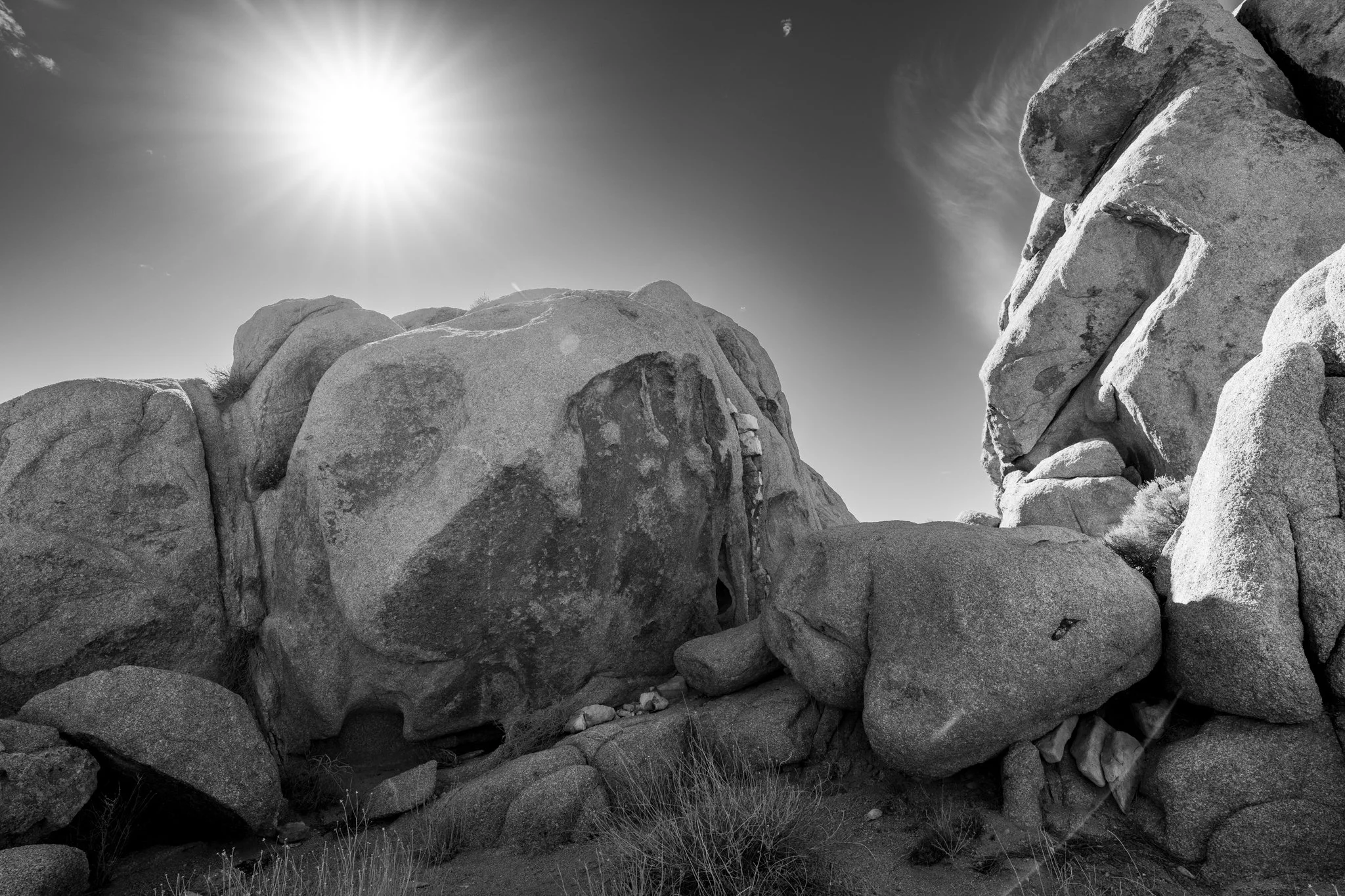 JoshuaTree-11.jpg