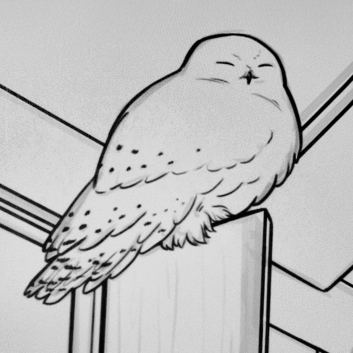 Preview of a commission I'm working on. 
I love this lil guy.
To commission me, email me at ejscreationsart@gmail.com!
.
.
.
.
.
.
.
#ejscreations #ejscreationsart #art #artistsoninstagram #digitalart #commission #owl #snowyowl #inking